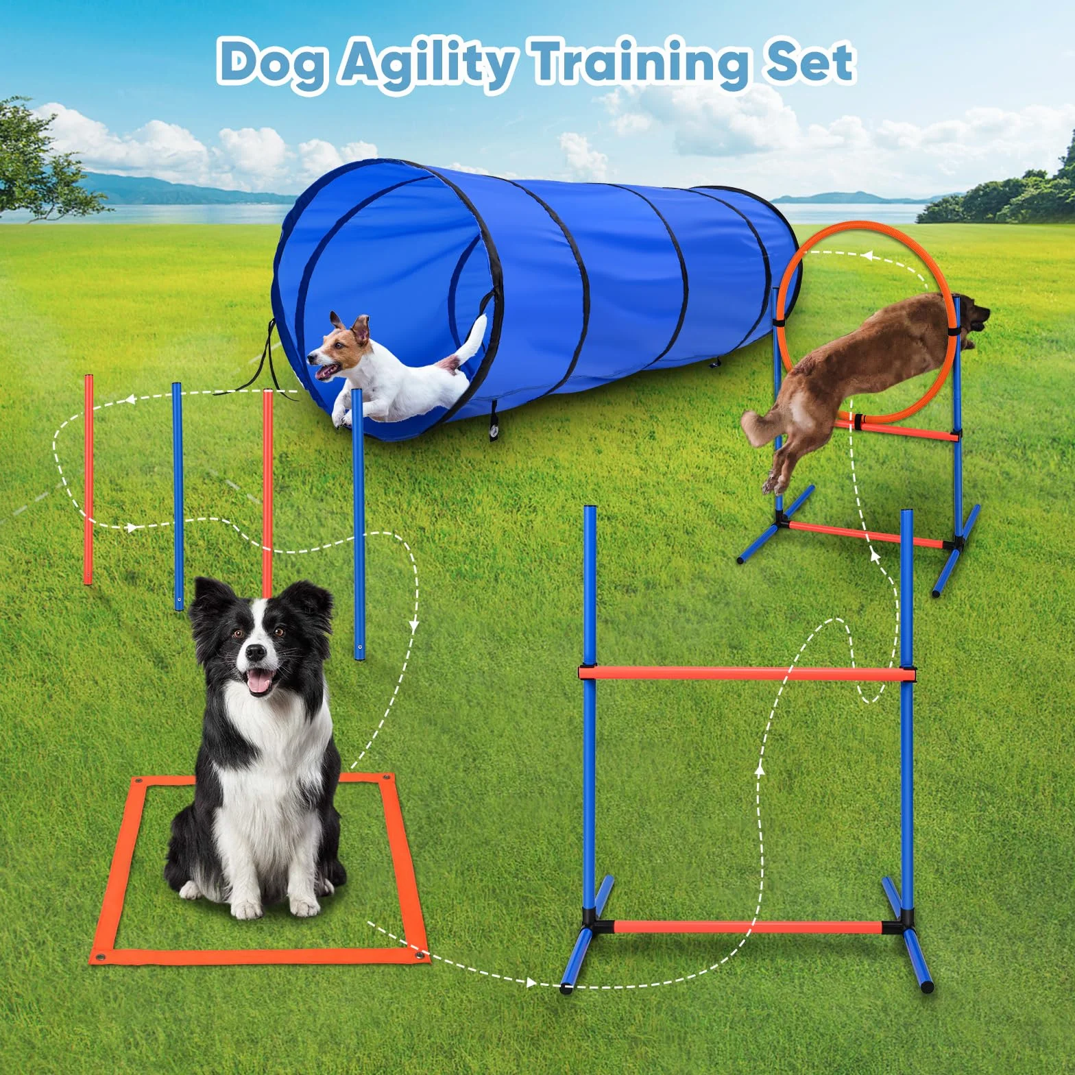 Agility Chien équipement Obstacles Entrainement kit 70 pièces Tunnel Anneau Saut