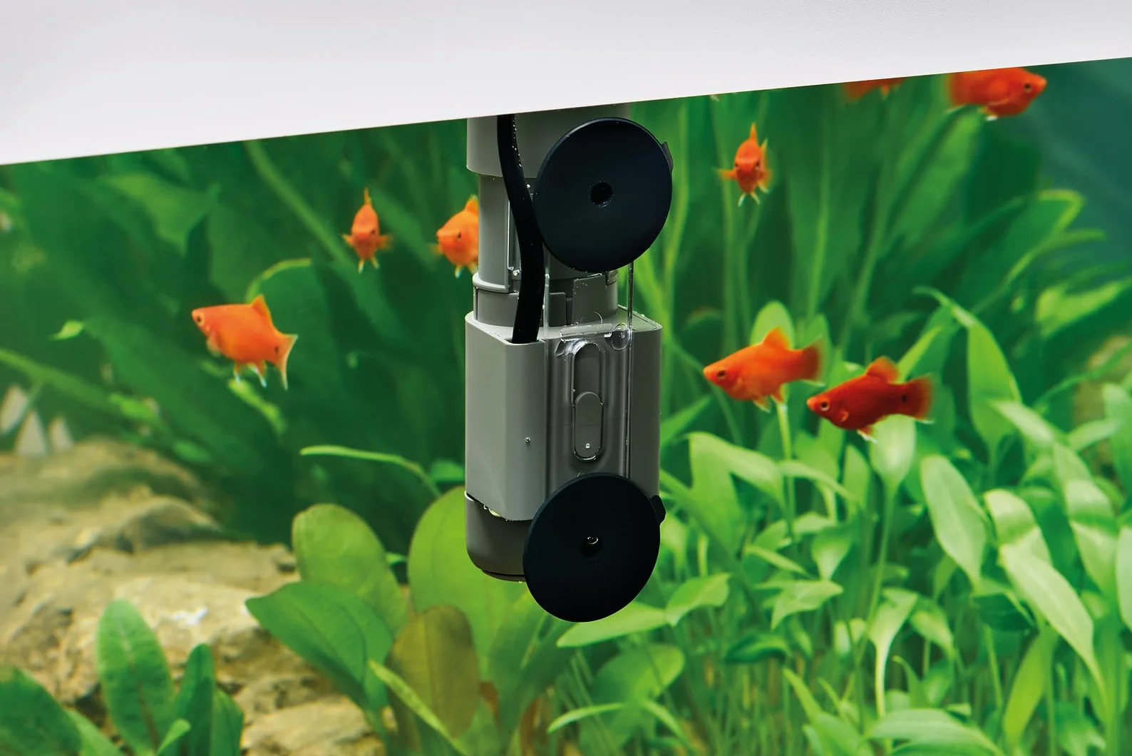 Oase CrystalSkim 600, Surface Skimmer Aquarium de 600 litres, pour l'eau Douce et l'eau de mer, 4,5 W
