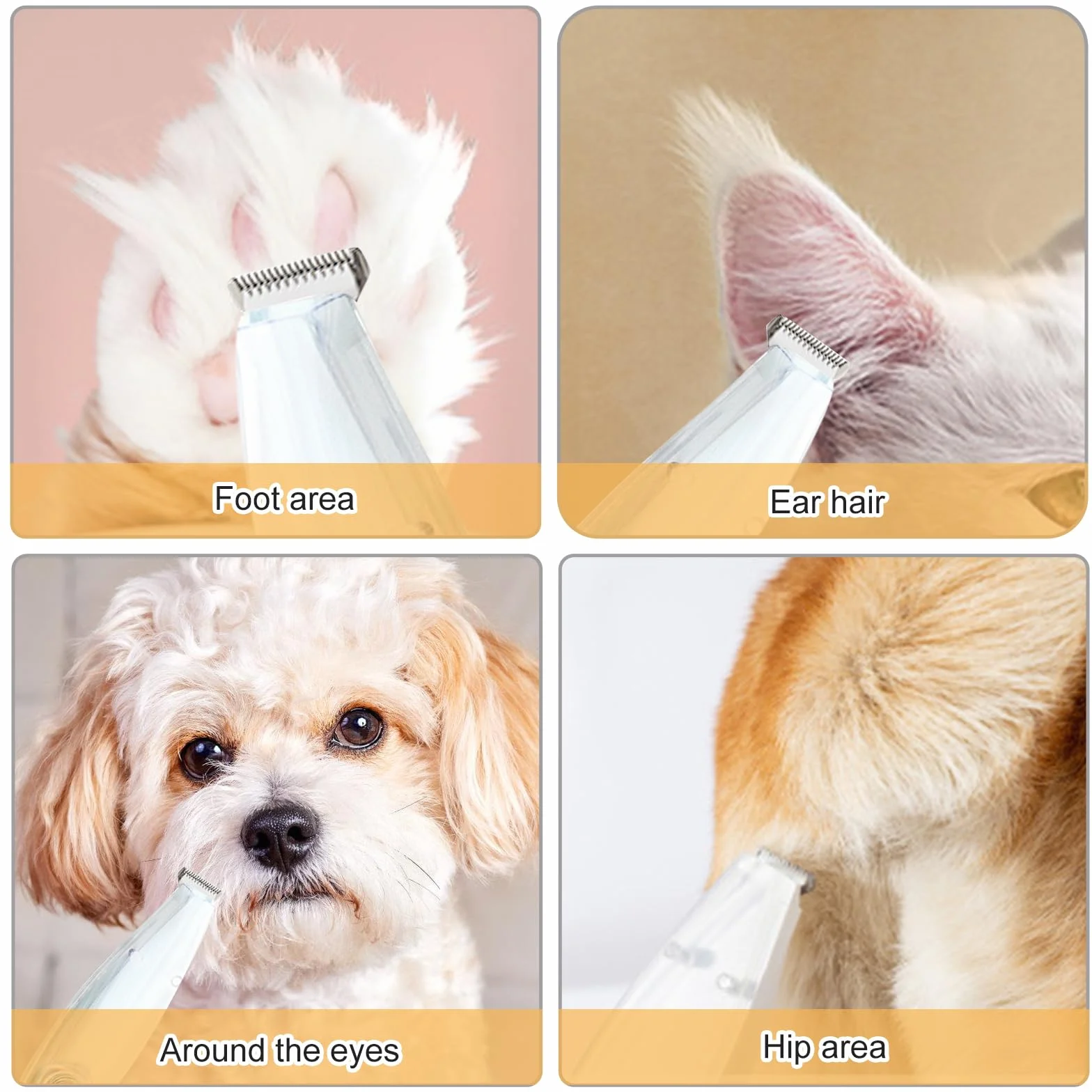 Tondeuse pour pattes de chien avec aspirateur, rechargeable, étanche