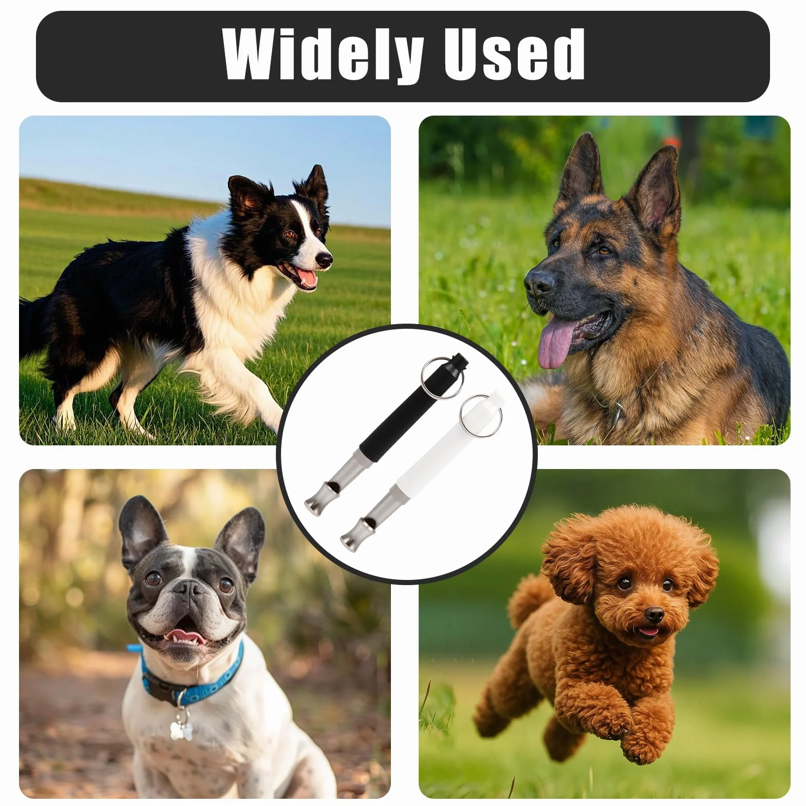 Sifflet Ultrason Chien Anti Aboiement, Sifflet de Dressage Professionnel, 2 Pièces Noir et Blanc