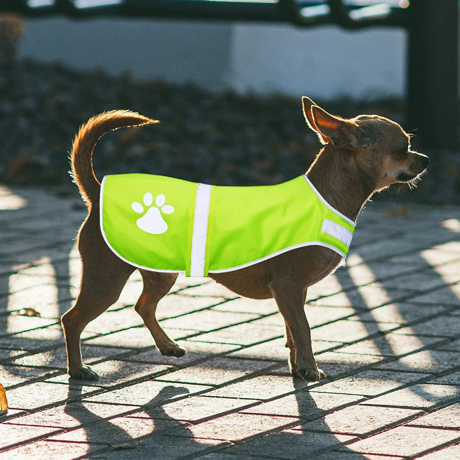 Gilet de Sécurité Réfléchissant pour Chien Haute Visibilité Premium