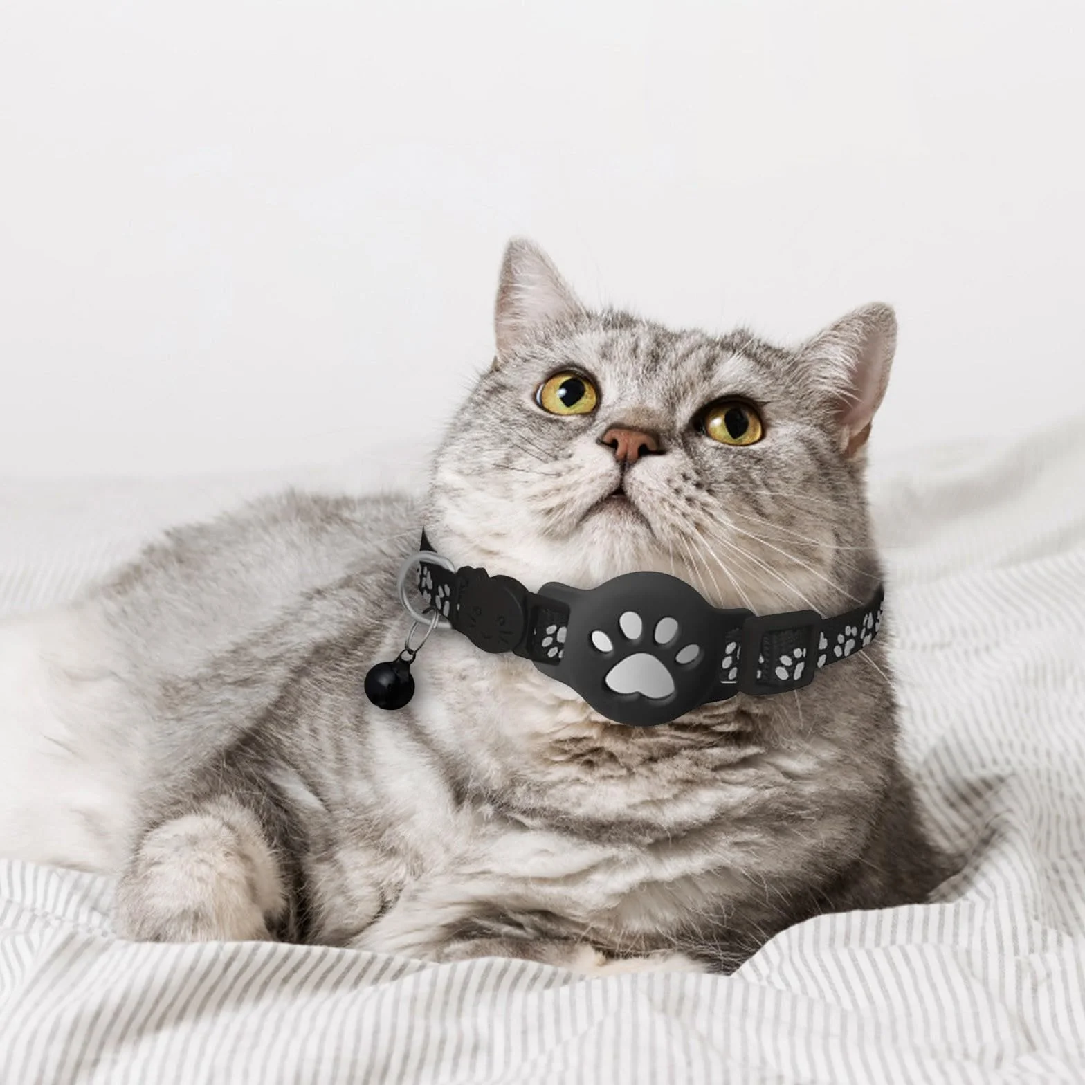 Collier GPS Chat 2026 Traceur GPS Chat Tracker sans Carte SIM sans Abonnement Localisation Temps Réel Imperméable Durable