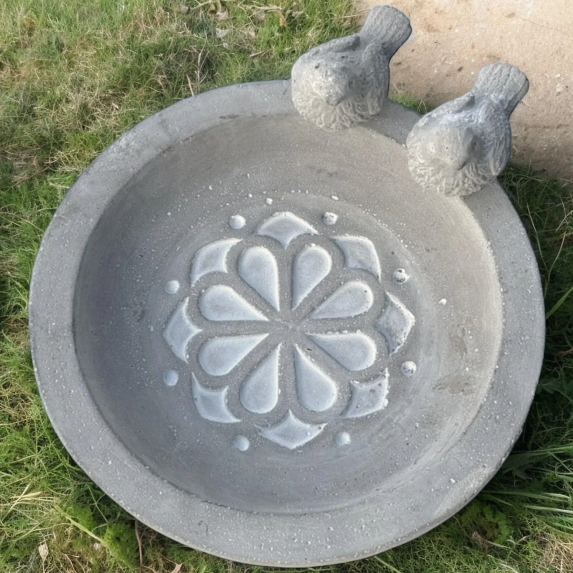 MIJOMA Bain d'oiseaux en ciment résistant au gel pour jardin, décoration fleurs et oiseaux