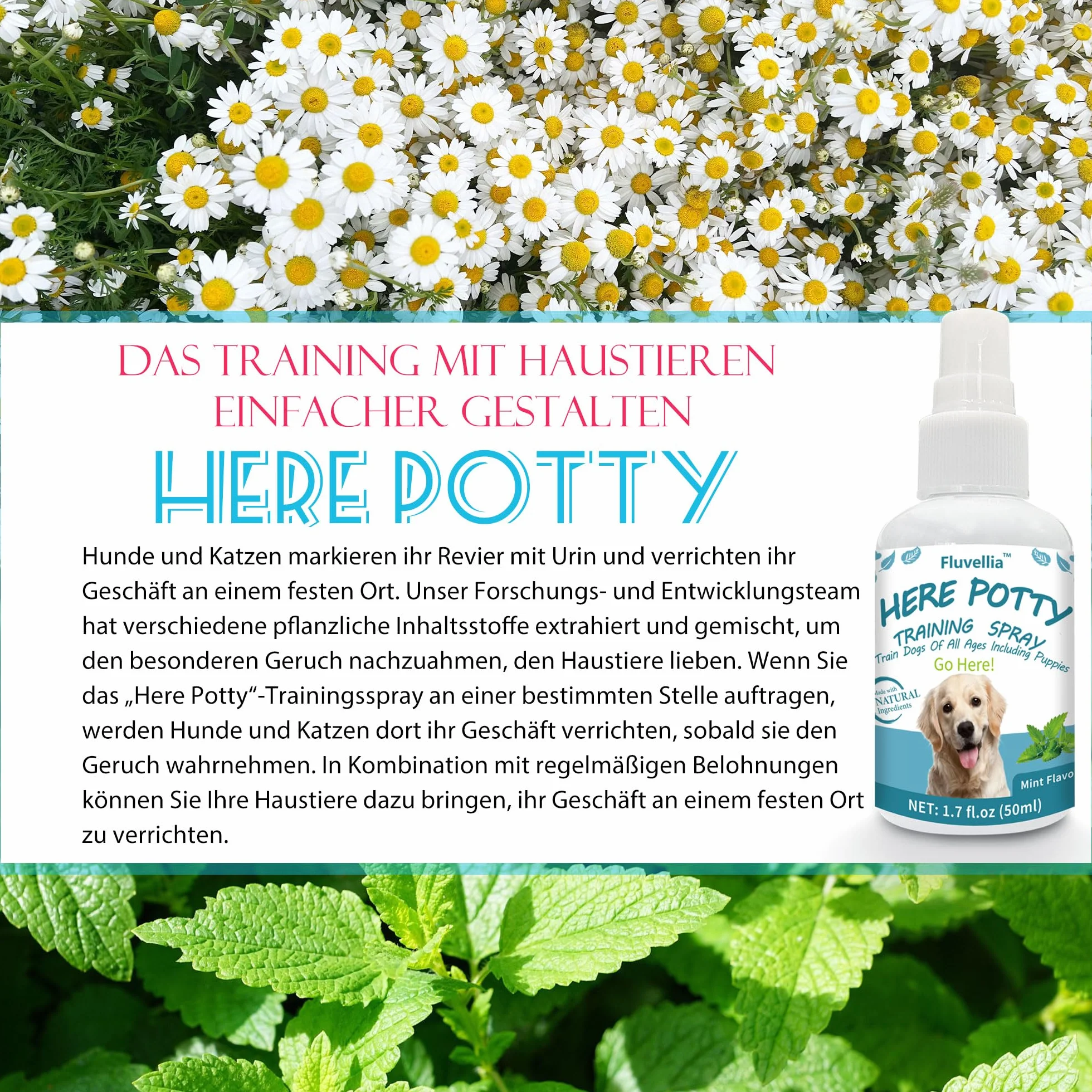 Lot de 2 sprays d'entraînement pour chien Not Here et Here Potty - 50 ml - Ingrédients naturels - Arôme d'agrumes et de menthe