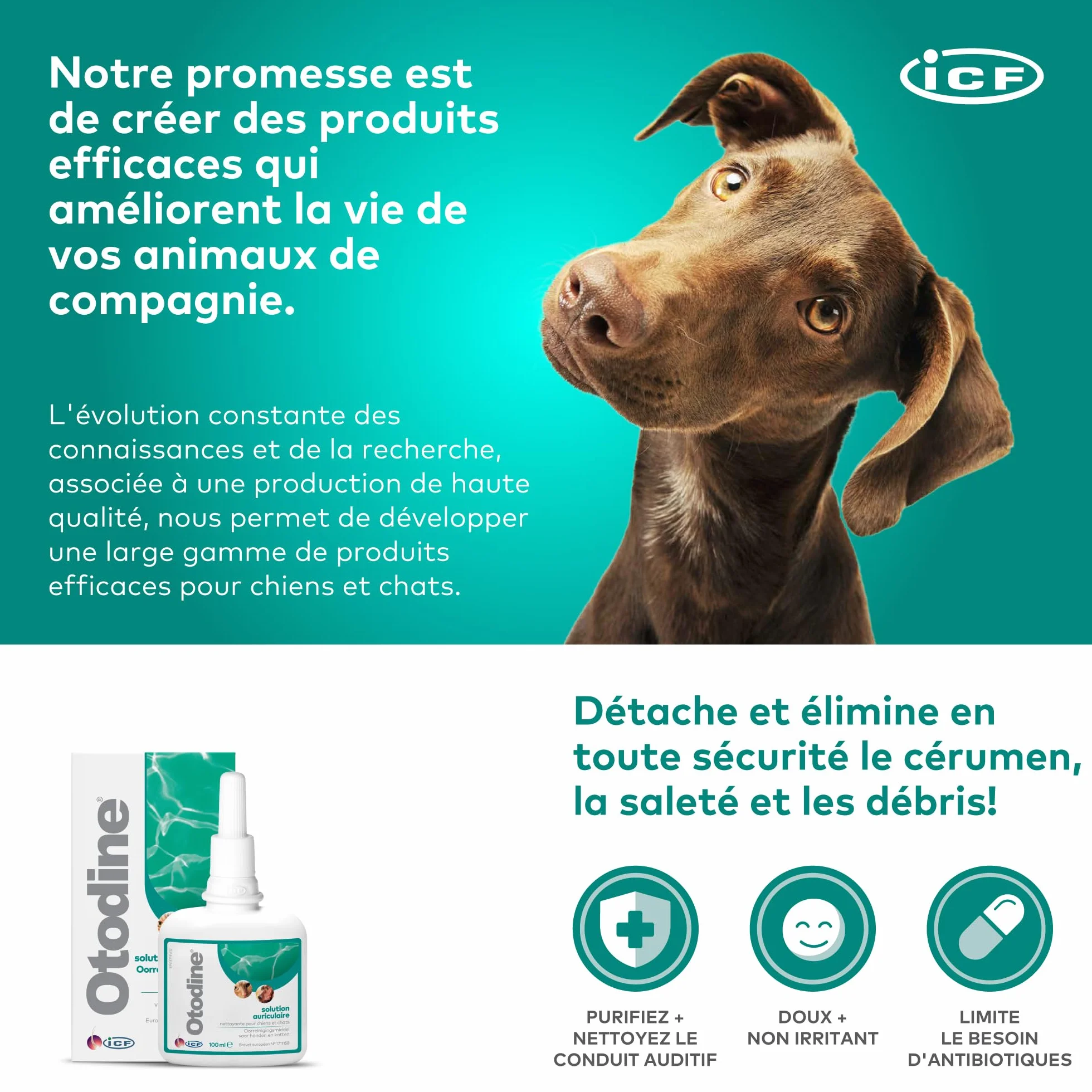 ICF Otodine Nettoyant Oreille Chien Chat 100ml