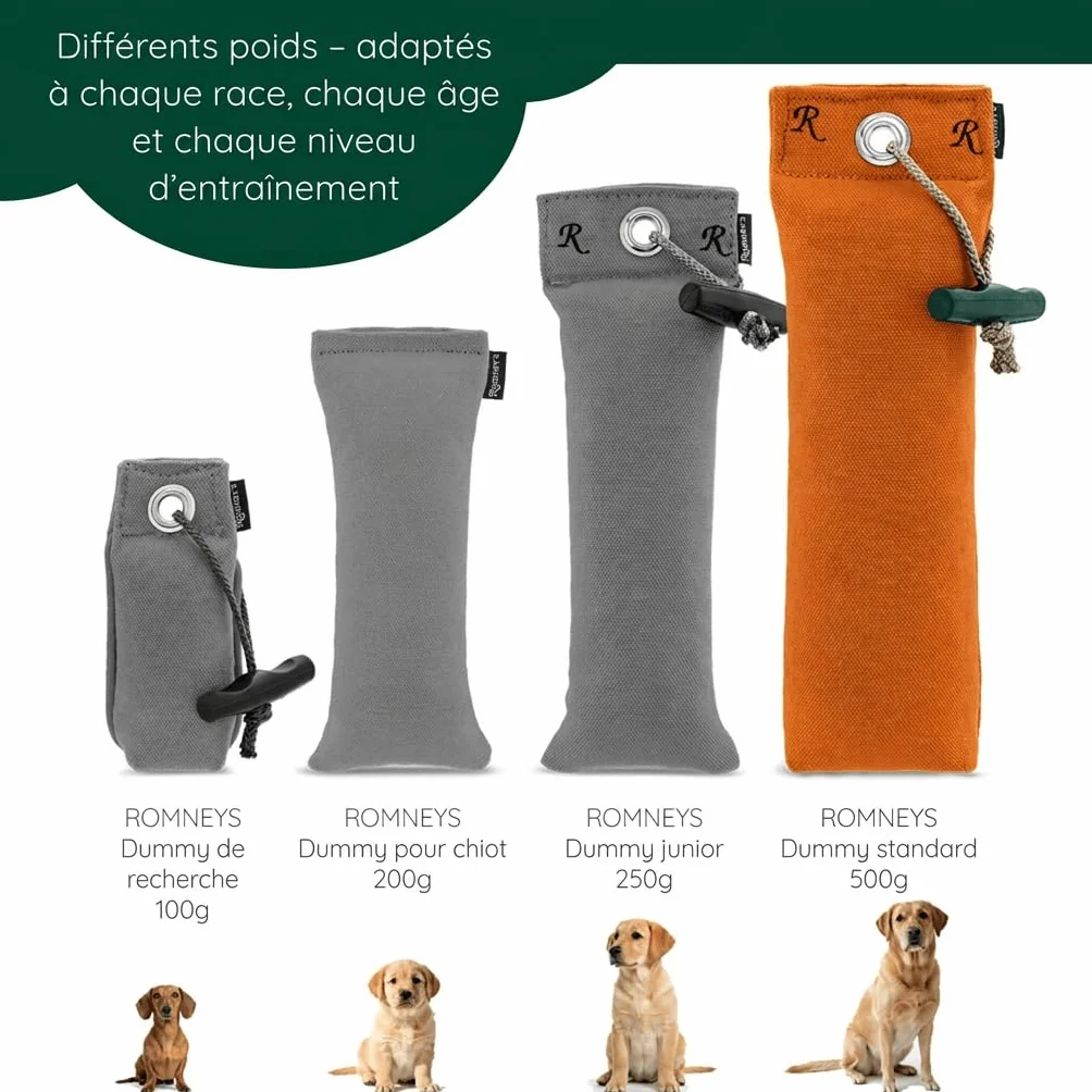 Romneys Lot de 500 g standard pour chien flottant orange