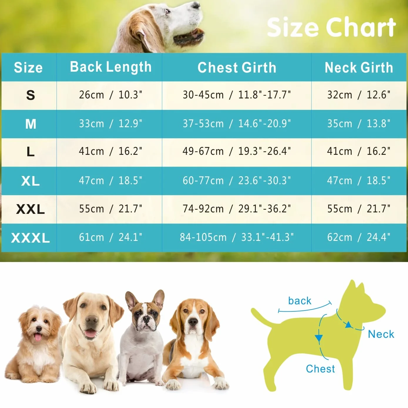 Gilet de Refroidissement pour Chien en Maille Respirante Réglable Manteau d'été (L, Bleu)