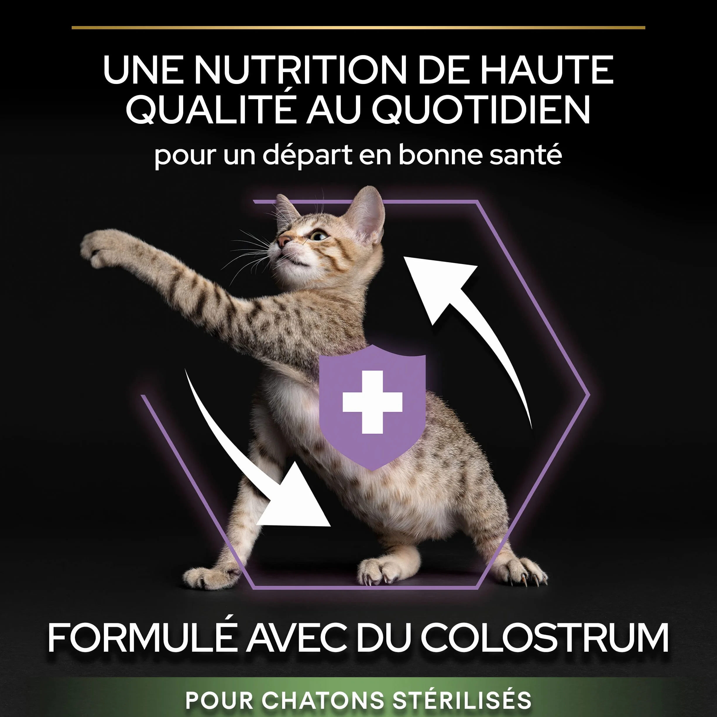PURINA PRO PLAN Croquettes pour Chaton Stérilisé Saumon 3kg