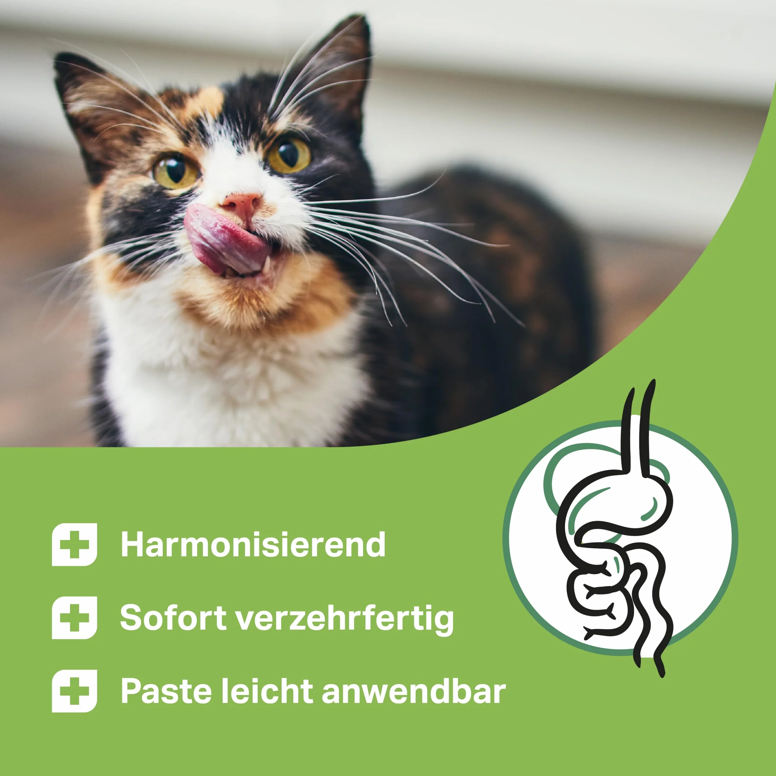 Pâte d'écorce d'orme premium 200 g pour chats brûlures d'estomac diarrhée vomissements