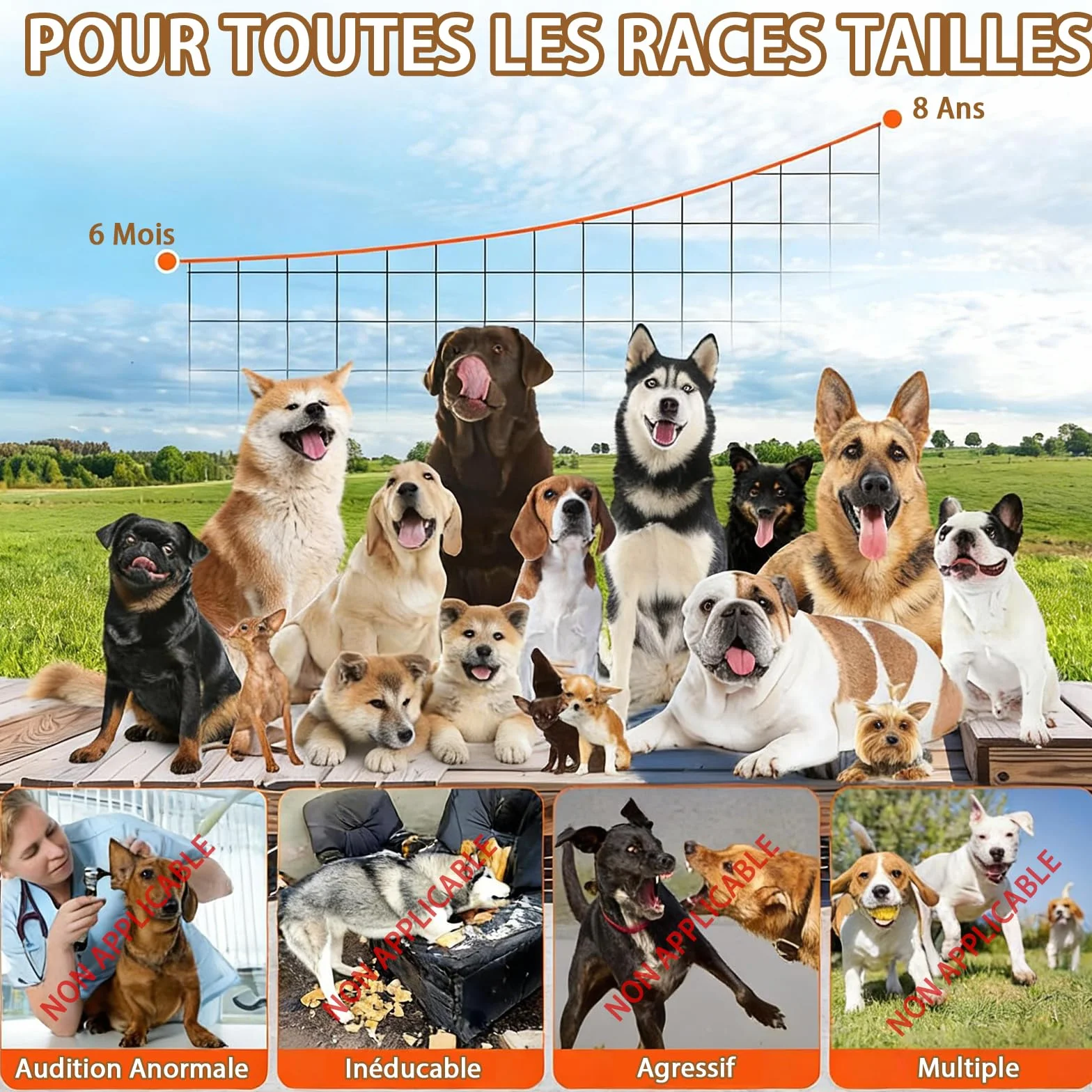 Anti Aboiement Chien Ultrason Puissant, 3 Modes, Portée 23 m, IP65 Rechargeable, Sifflet Ultrasonique Intérieur/Extérieur