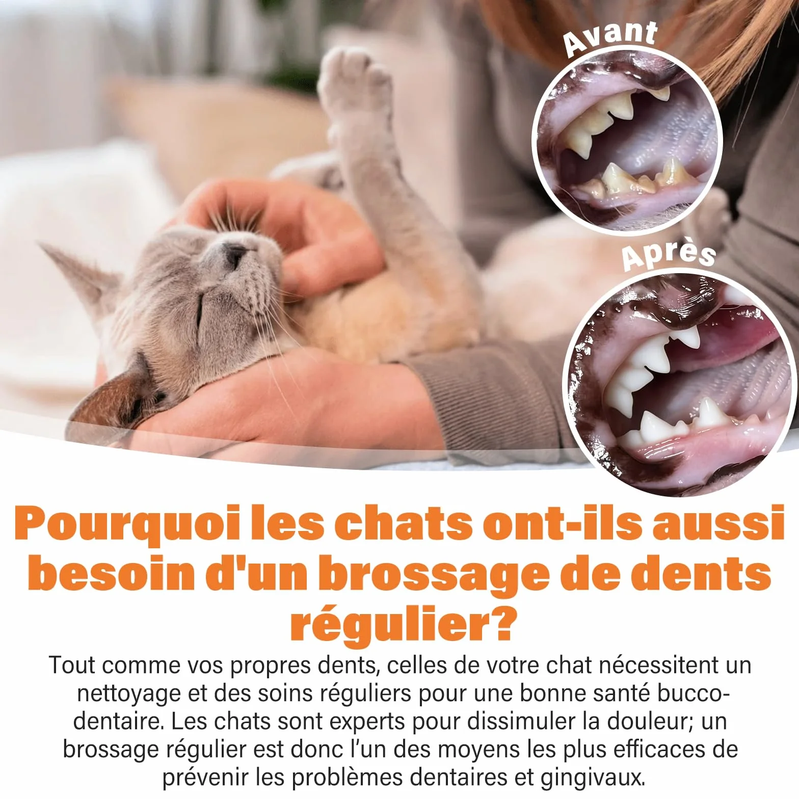 UNEK Kit de soins dentaires pour chat dentifrice enzymatique 30 g saumon brosse à dents brosse à doigts