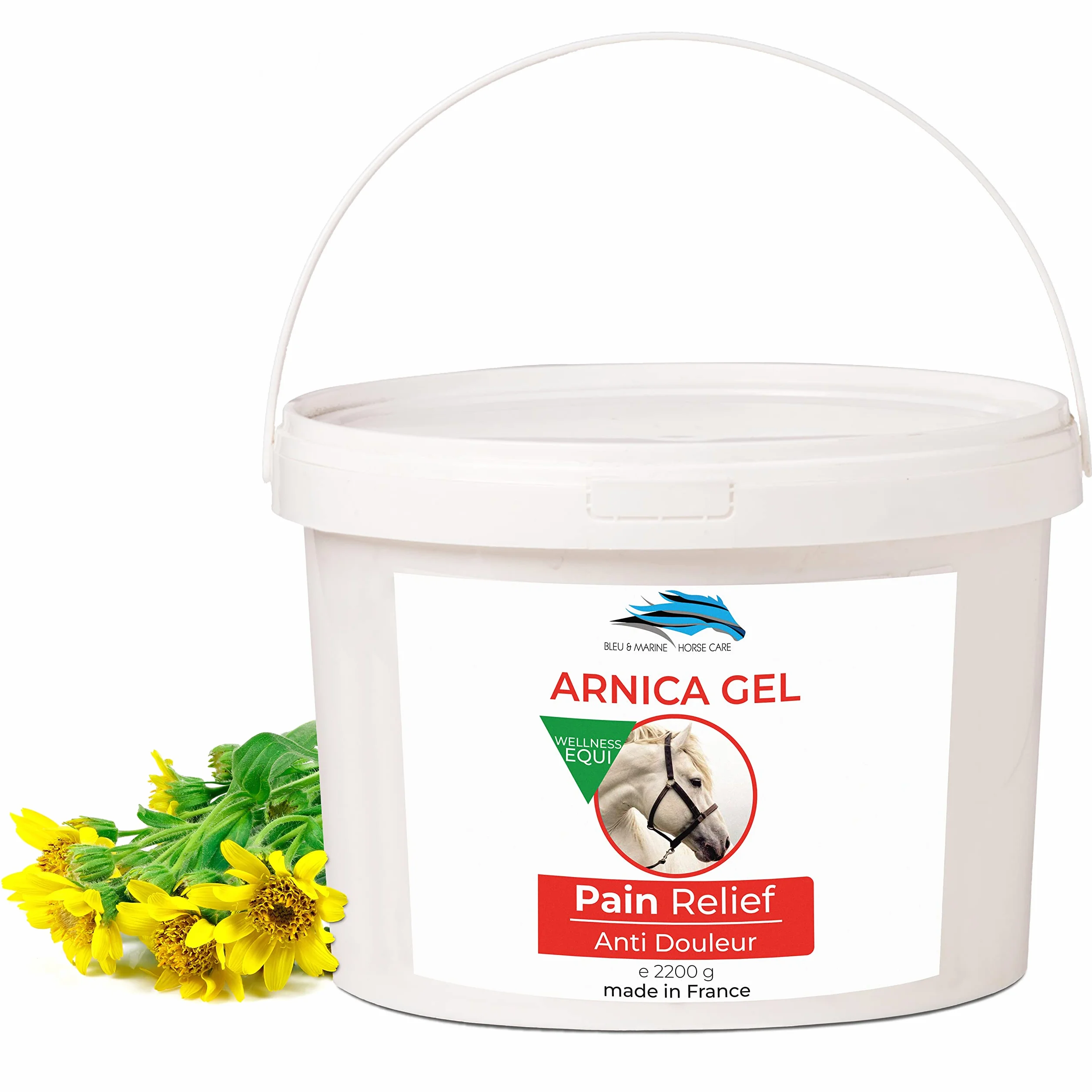 Bretania Gel d'Arnica Bio Concentré 90% Extrait Naturel pour Massage Musculaire et Articulaire Hydratant Peau 2200 g