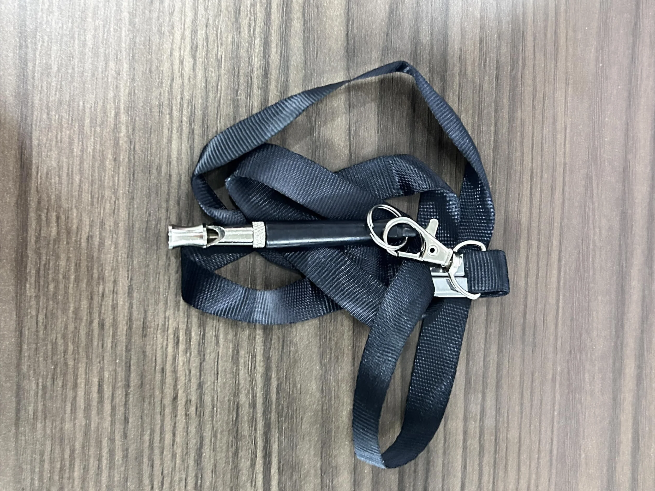 Sifflet pour chien à ultrasons haute fréquence silencieux, Fréquence réglable, Noir