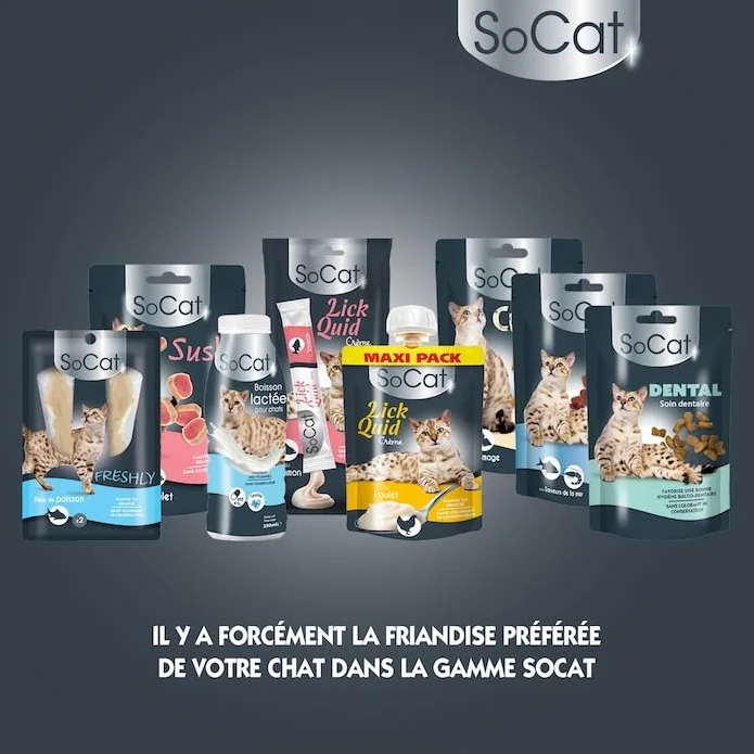 Riga - Socat Lick Quid - Friandises pour Chat - Snack Humide Au Thon - Crème A Lécher - Riche en Protéines - sans Céréales - Faible en Graisses - Récompense Idéale - Maxi Pack - 90 g