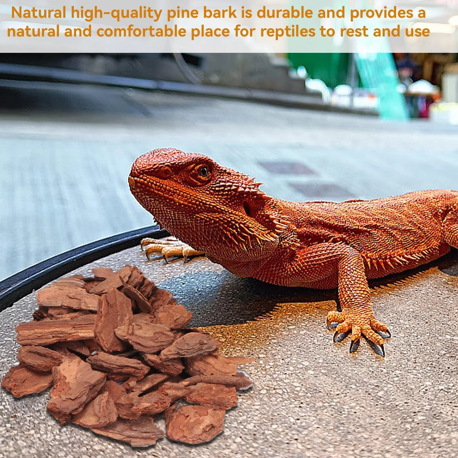 HERCHR Litière d'écorce de Reptile, substrat en granulés de pin pour Tortues Lézards Geckos (S)