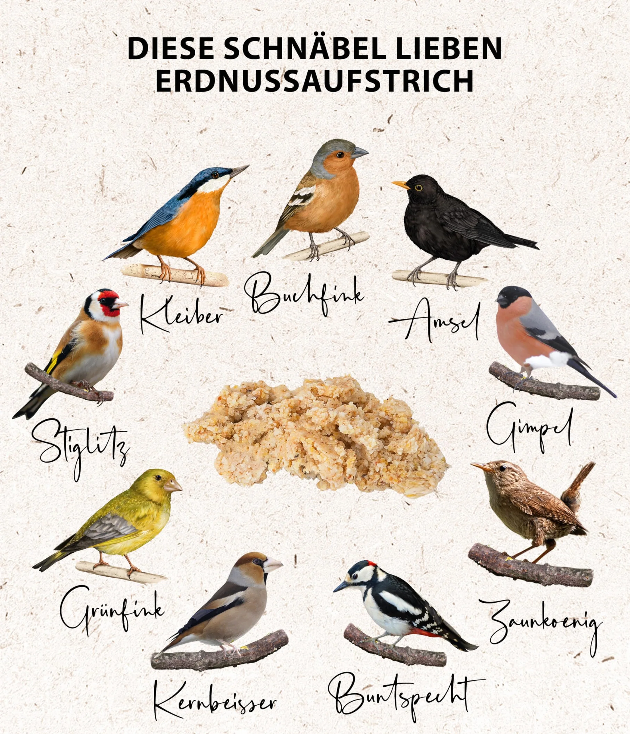 Dehner Natura Premium Nourriture pour Oiseaux Sauvages, Beurre de cacahuète en Seau, 2 kg