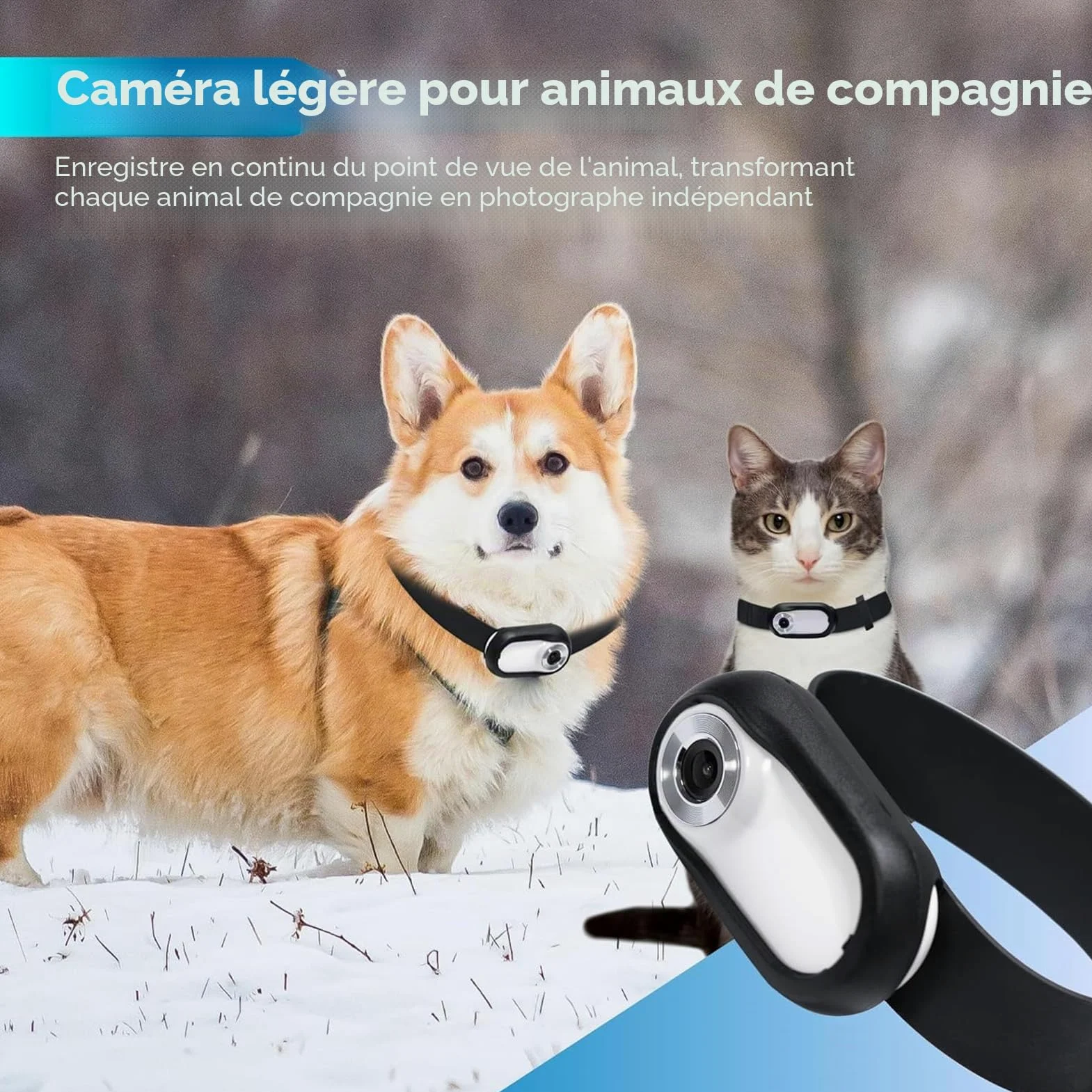 Collier de Caméra pour Chat, Pas de WiFi Nécessaire, Caméra d'action Sportive 30 IPS avec Enregistrements Vidéo, Mini Caméra Corporelle pour Chats, Chiens, Animaux de Compagnie