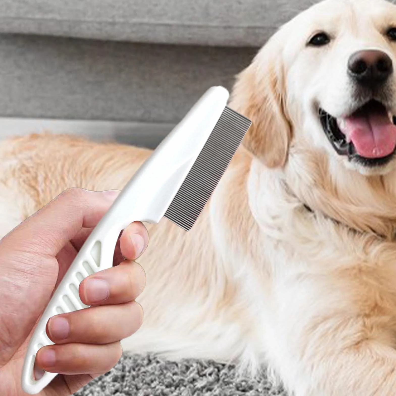 Brosse à puces pour chien Peigne anti-puces et tiques avec poignée épaissie