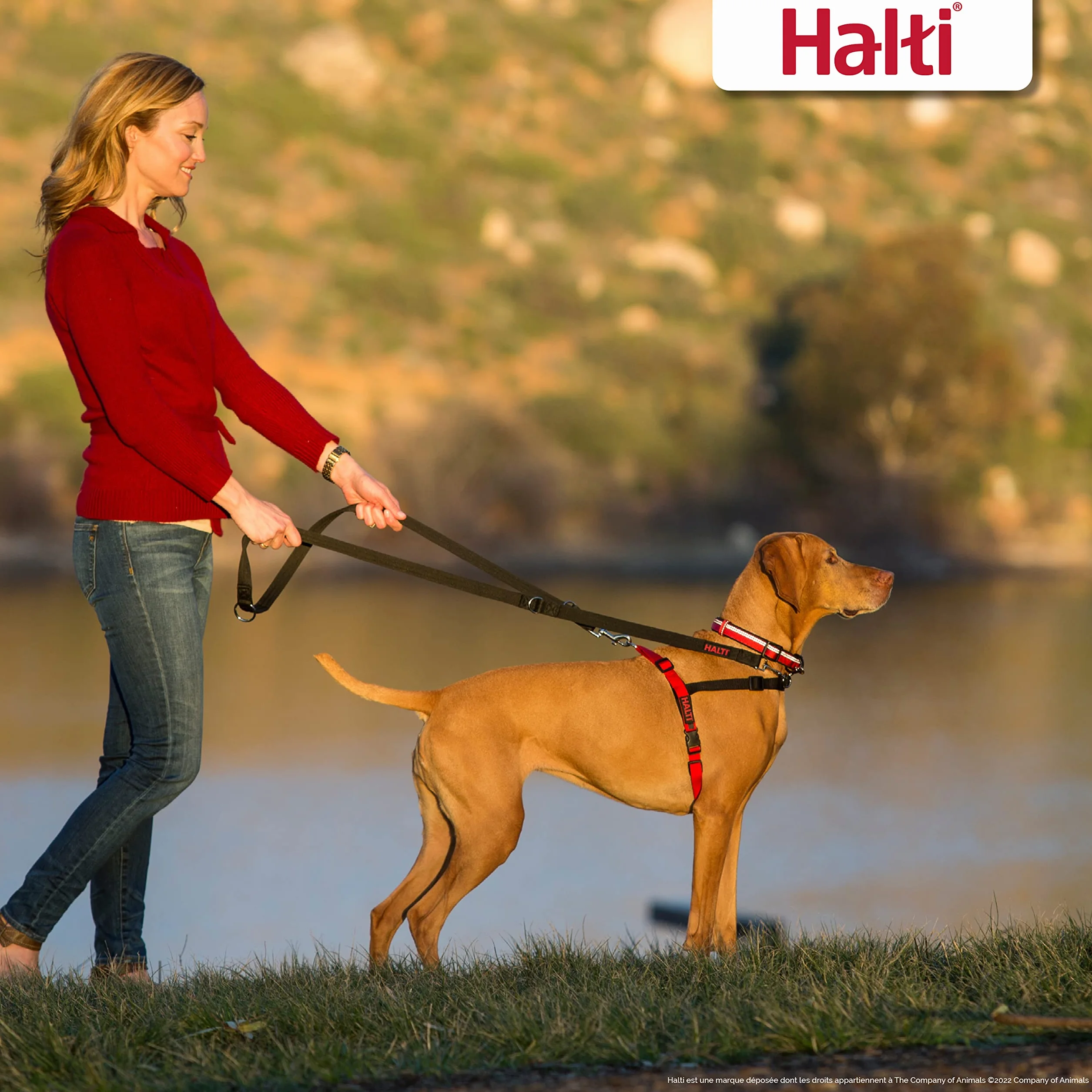 Harnais de contrôle HALTI Taille M Anti-traction pour chiens de taille moyenne