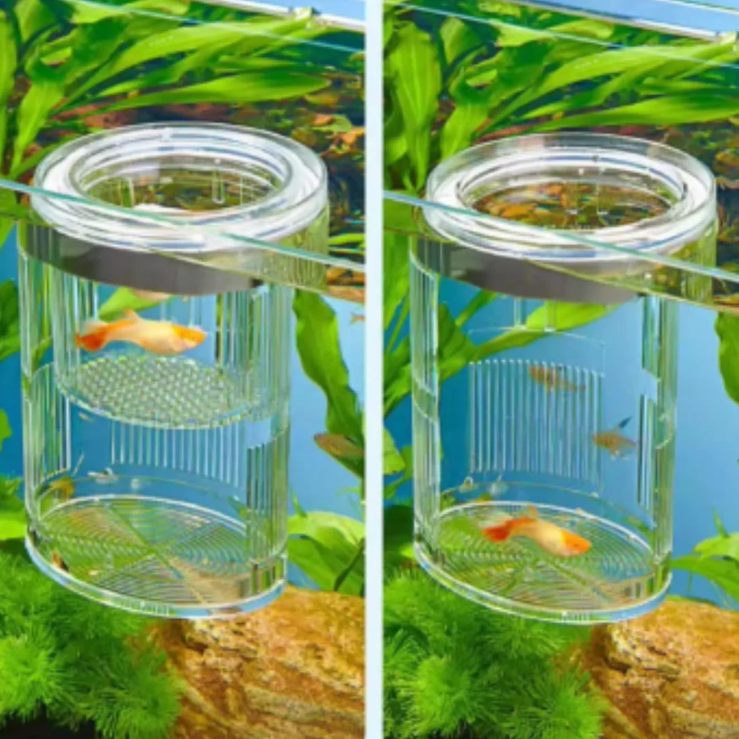Forme Cylindrique Boîte D'éLevage pour Aquarium, Boîte D'éLevage pour Poissons D'Aquarium, Double Couche, Transparent, Incubateurs avec Ventouses, pour Poissons Agressifs Blessés