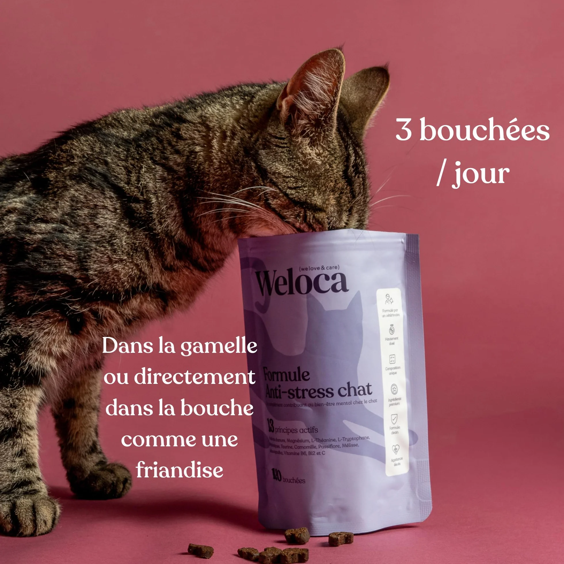 Anti-stress Chat 120 bouchées naturelles apaisant problèmes comportementaux calmant