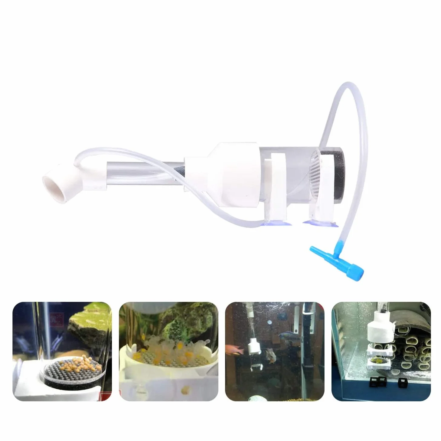 Incubateur d'œuf de poisson pour bébé - 50 mm - Pour aquarium, cichlidé, aquarium