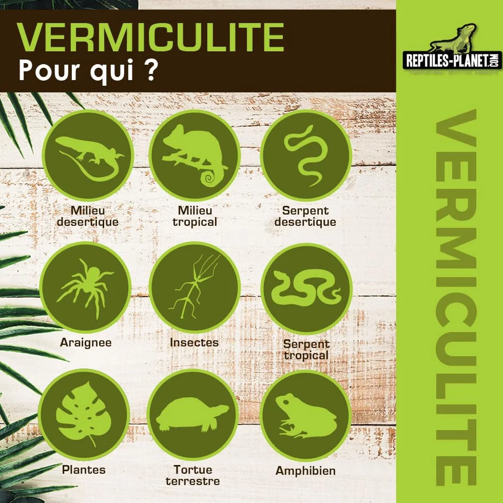 Reptiles Planet Vermiculite Substrat d'Incubation pour Reptiles 0,3-4 mm 6 Litres