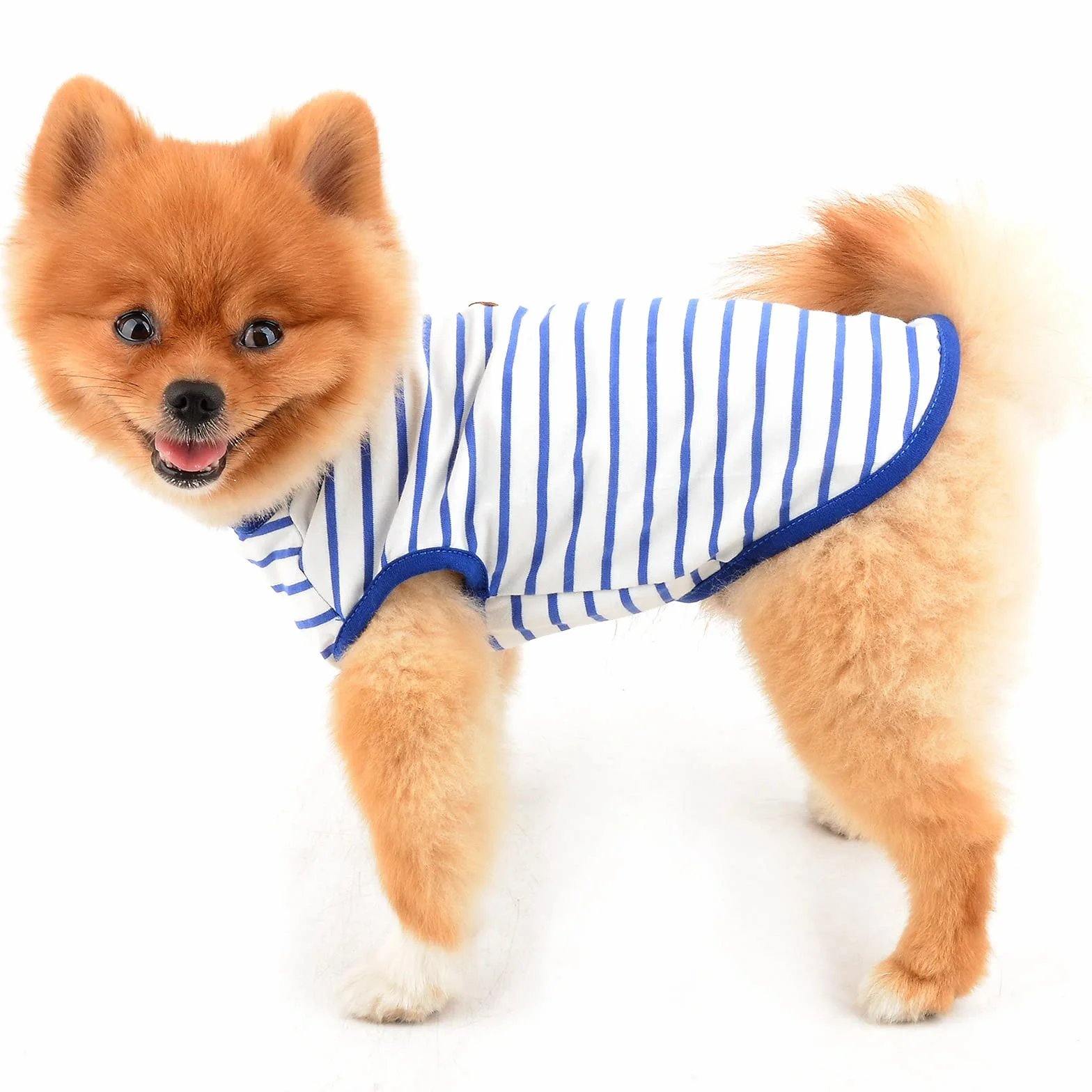 PAIDEFUL Chemise britannique rayée pour petit chien, gilet pour chat, T-shirt en coton doux pour chiot, vêtement d'été respirant
