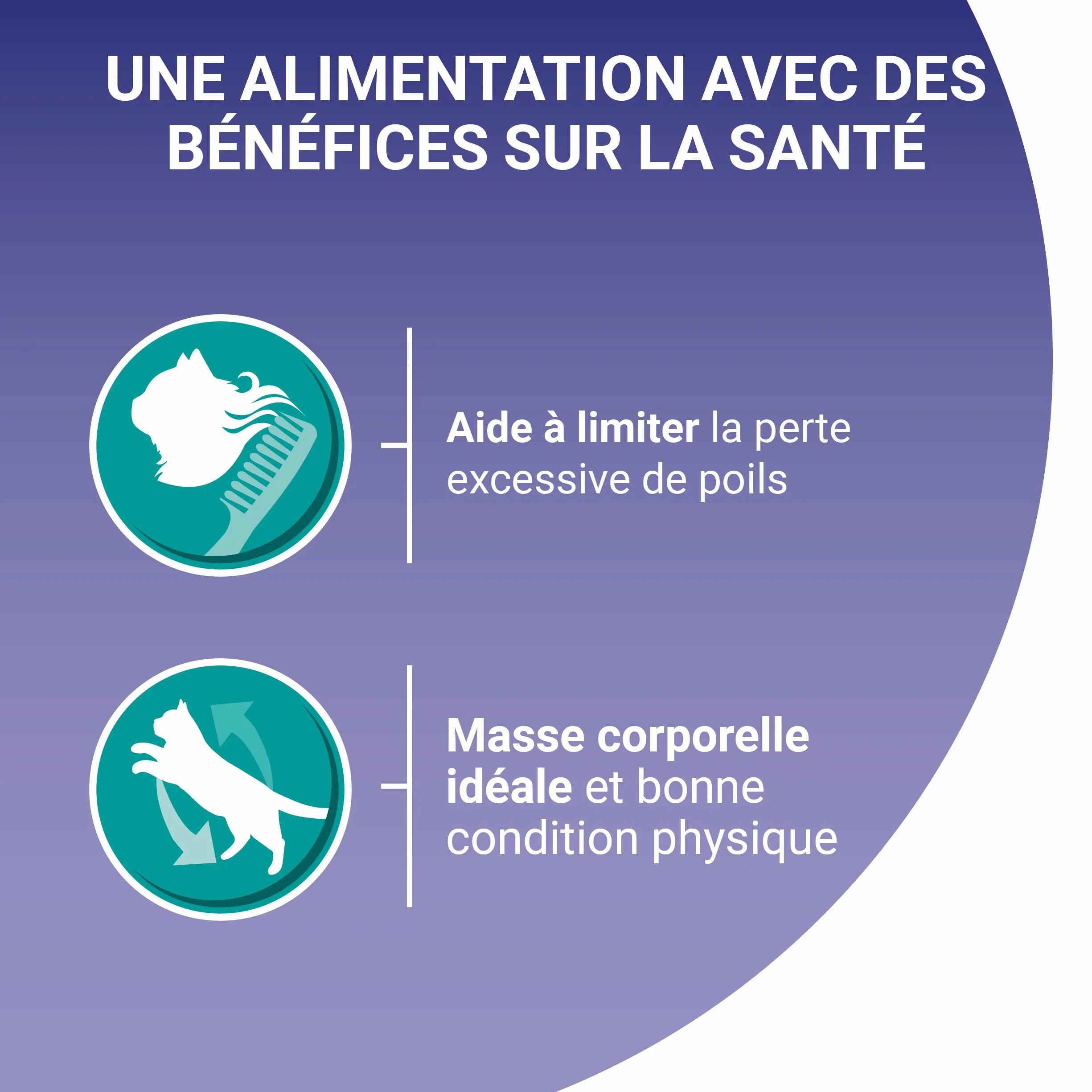 PURINA ONE BIFENSIS Spécial Chat Stérilisé d'Intérieur Effilés en Sauce Thon Veau Sachets Fraîcheur Lot de 12 (4 x 85g)