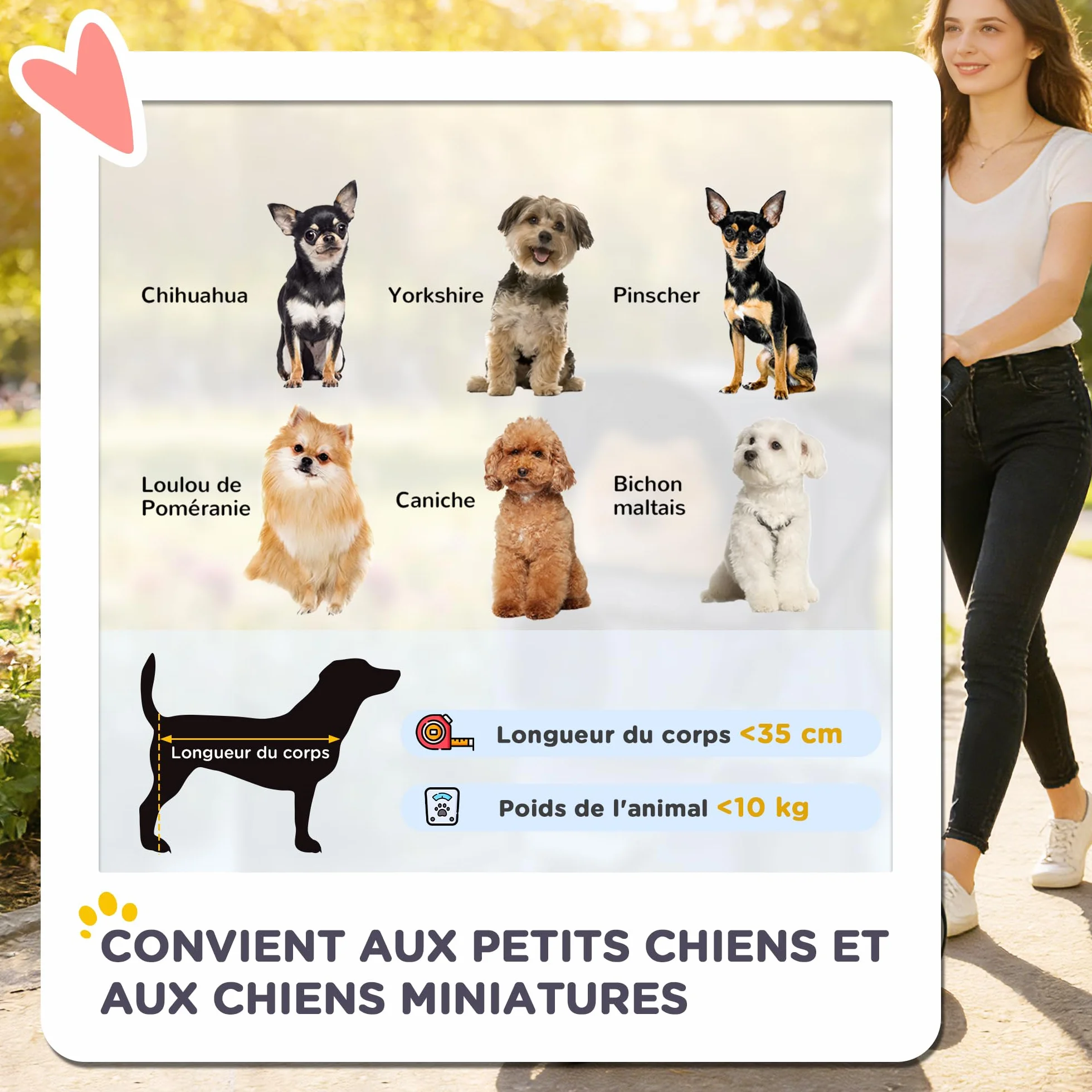 Poussette Buggy Pliable Animaux pour Chien et Chat, Imperméable avec Toit Amovible, 600D Oxford, Acier, Rouge