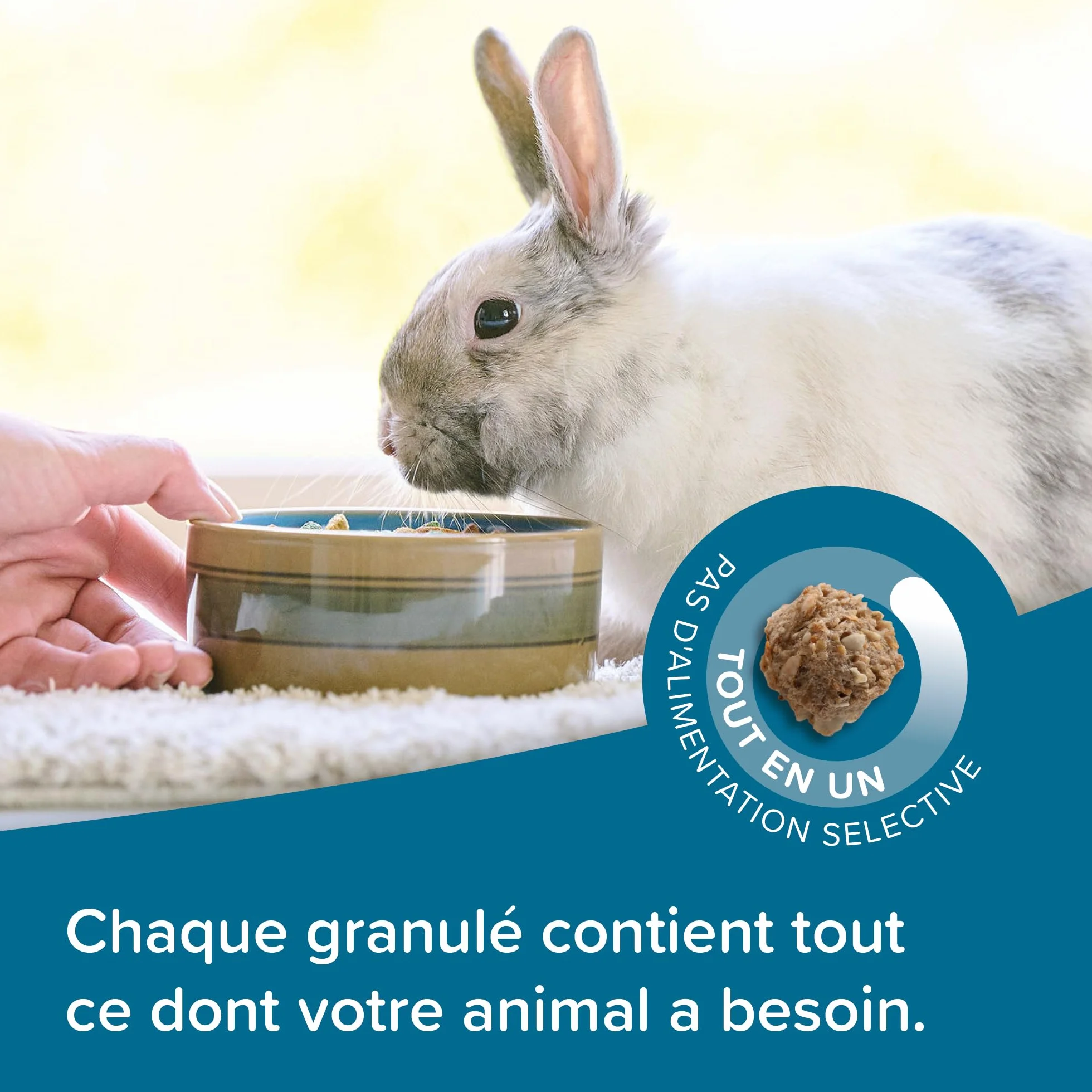 BEAPHAR Care+ Alimentation Super Premium extrudée pour Lapin Junior 25% Fibres 1.5 kg
