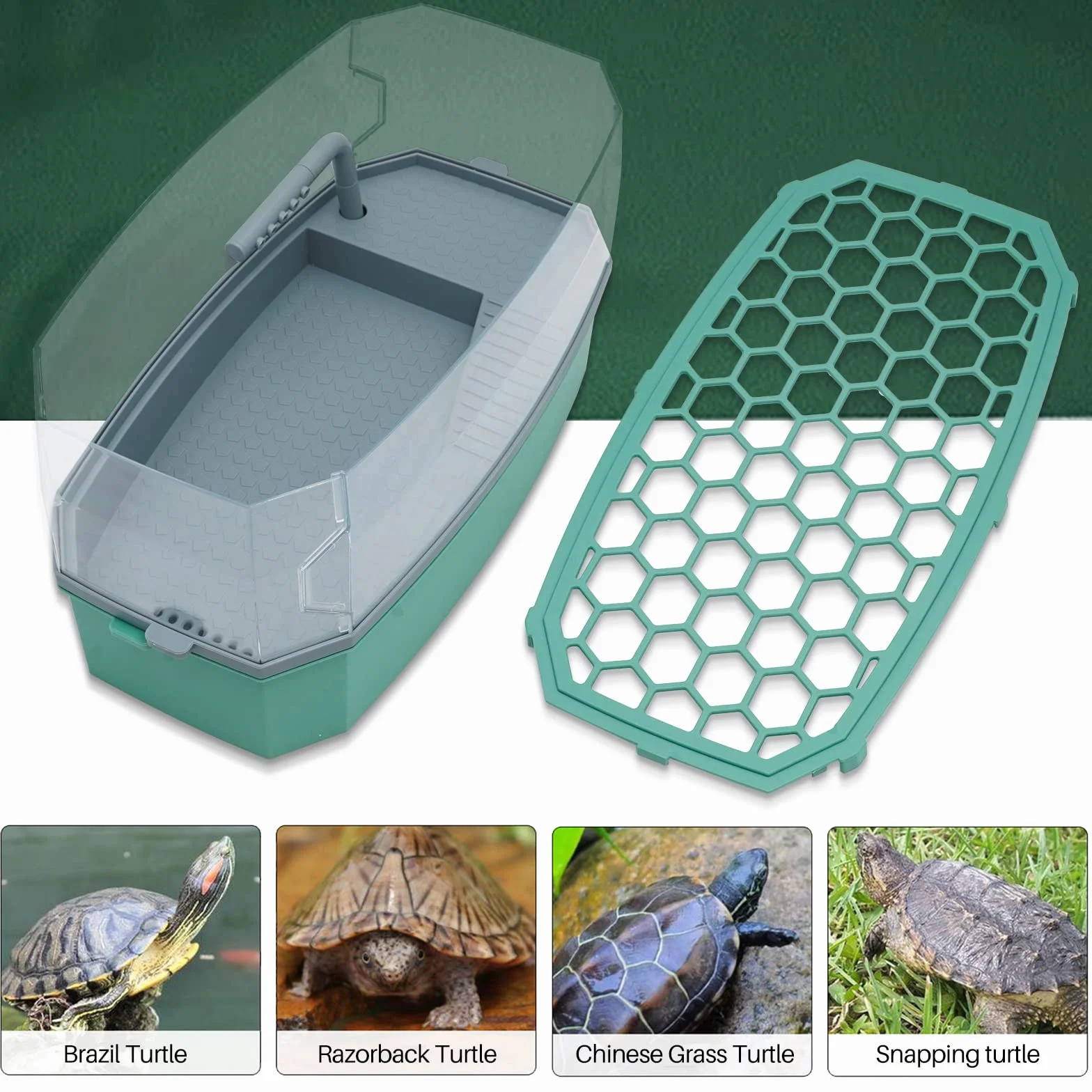 Turtle Tank Aquarium avec Pompe à Eau Habitat de Reptile Terrarium Plateforme Basking Système de Douche