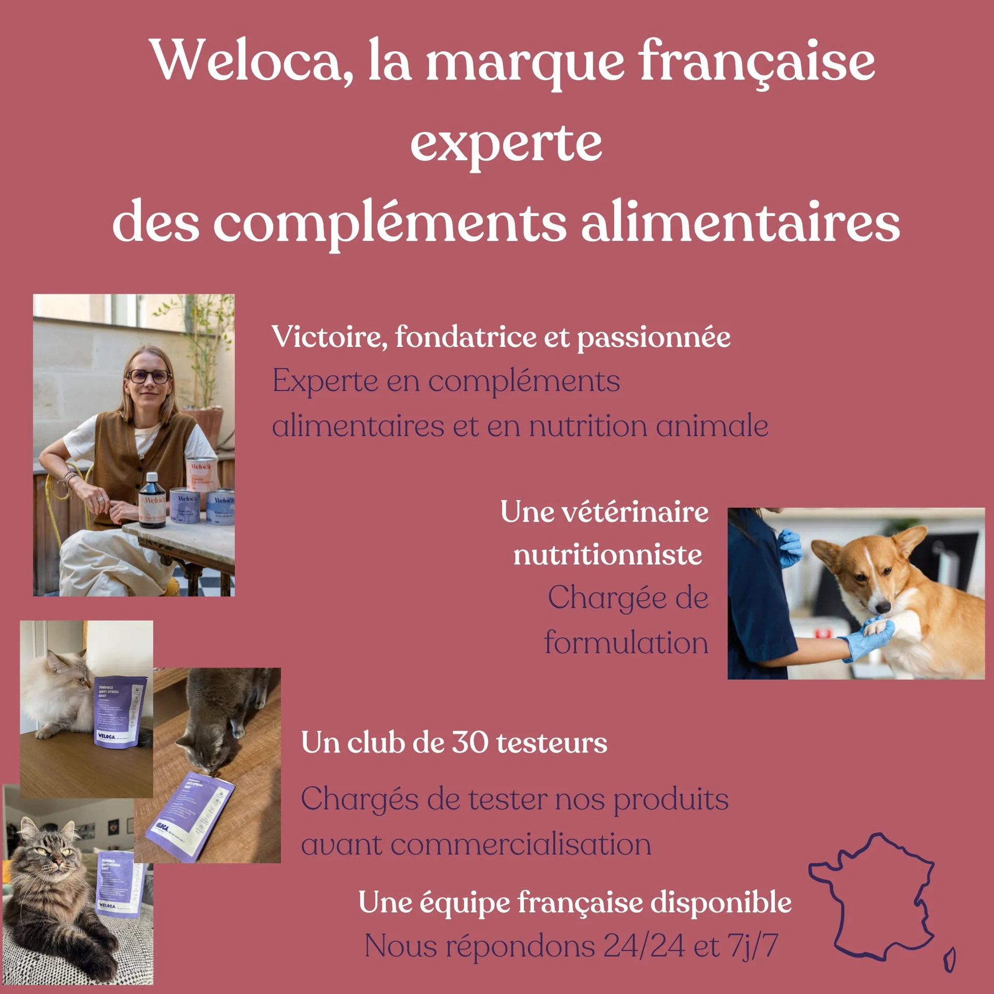 Anti-stress Chat 120 bouchées naturelles apaisant problèmes comportementaux calmant