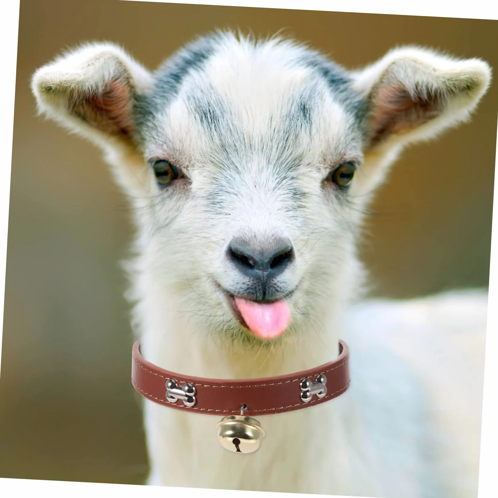 4pièces Collier Réglable pour Animaux avec Cloche Lot de Colliers Colorés pour Moutons Chèvres Et Veaux Accessoires De Bétail Adorables Et Pratiques