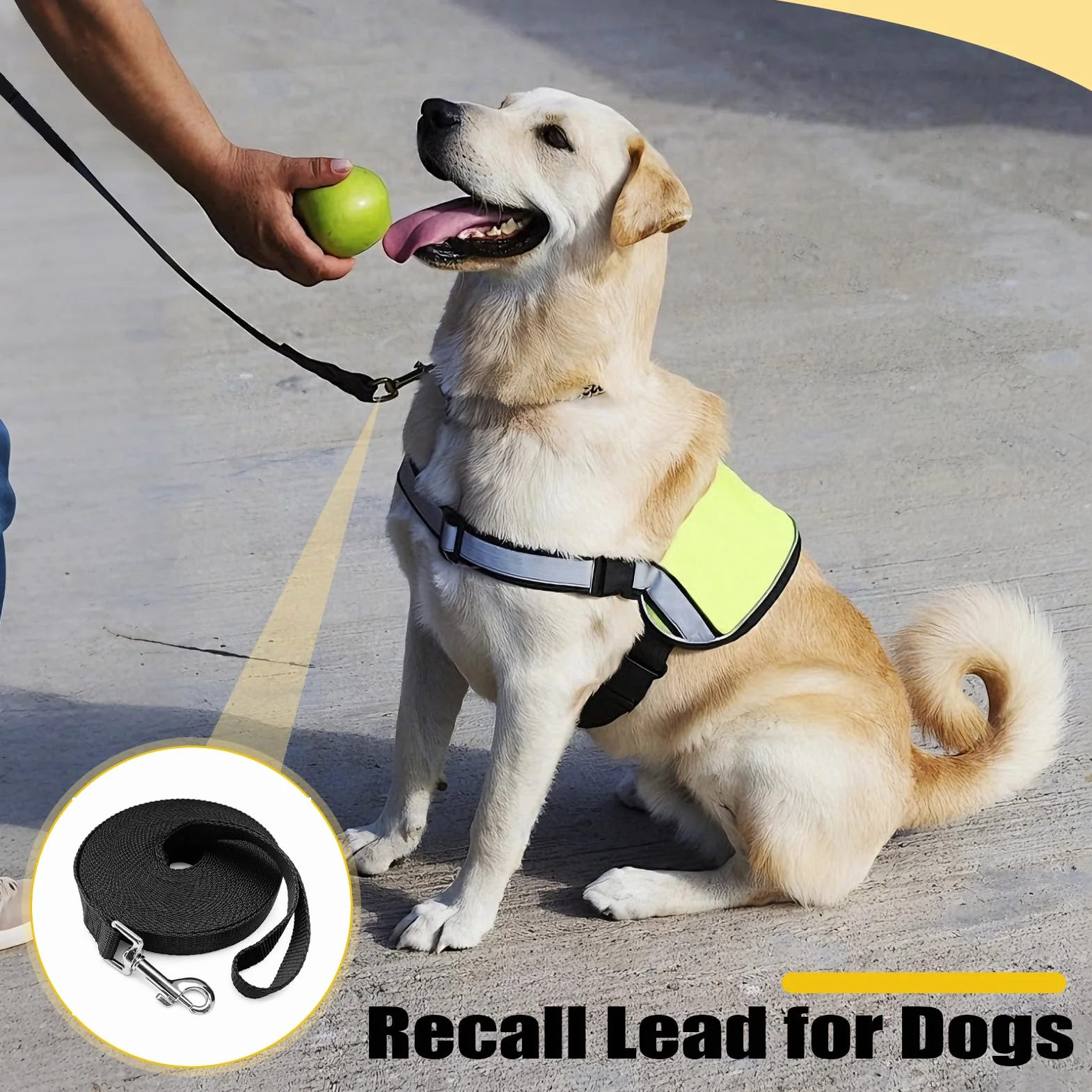 Longe pour Chien 5m, Laisse pour Chien, Laisse Imperméable avec Dragonne Et Mousqueton À 360°, pour L'entraînement pour Chiens De Petite, Moyenne Et Grande Taille (Noir)
