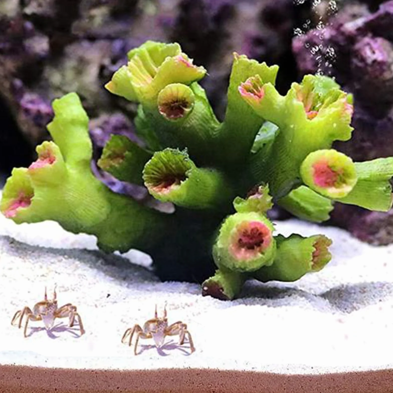 Artificielle Deco Corails Aquarium Plante Vert Décoration pour Aquarium à Poissons