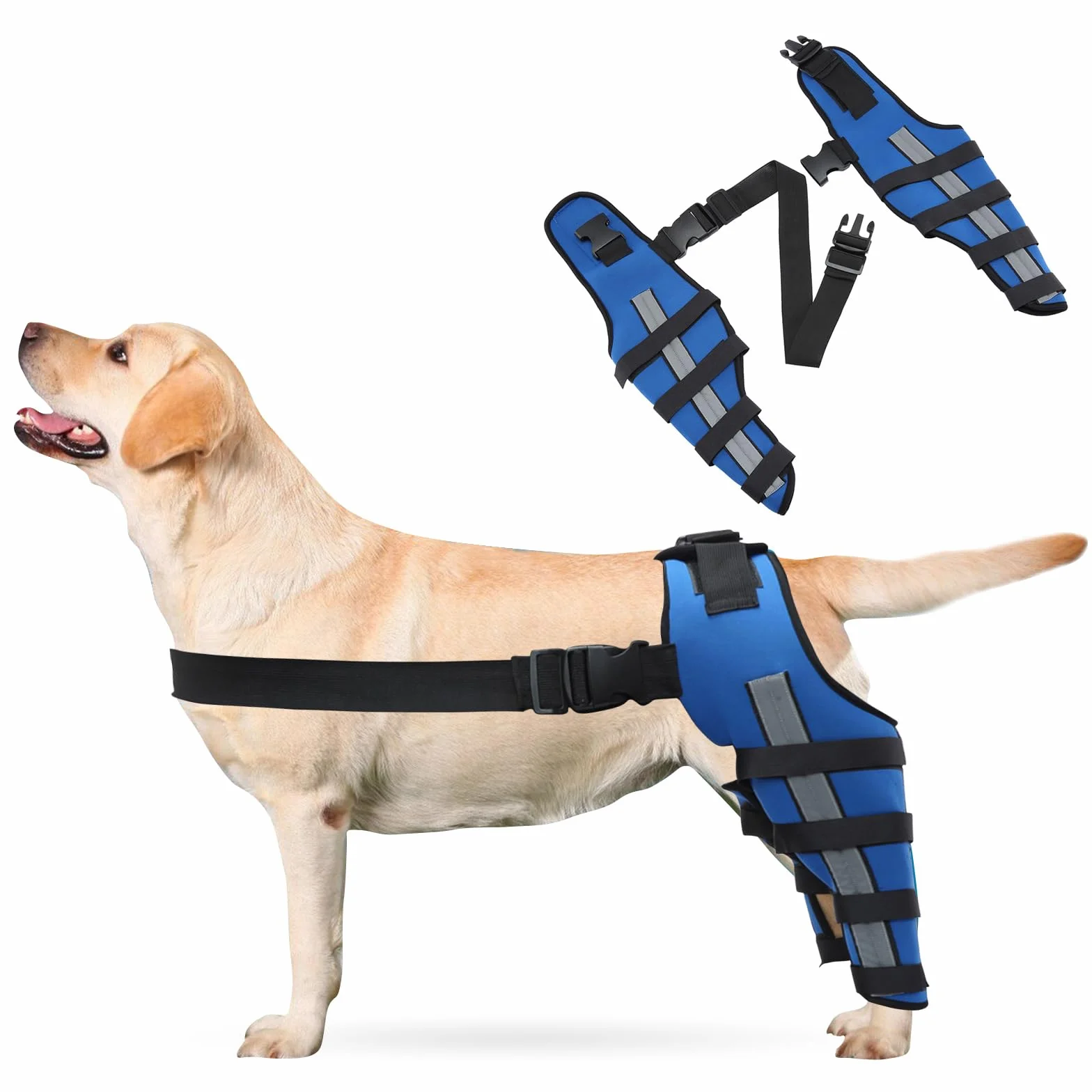 PETCUTE Genouillères Réfléchissantes Ajustables pour Chien - Support Articulaire Antichoc LCA/CCL, Protège-Coude XS Bleu