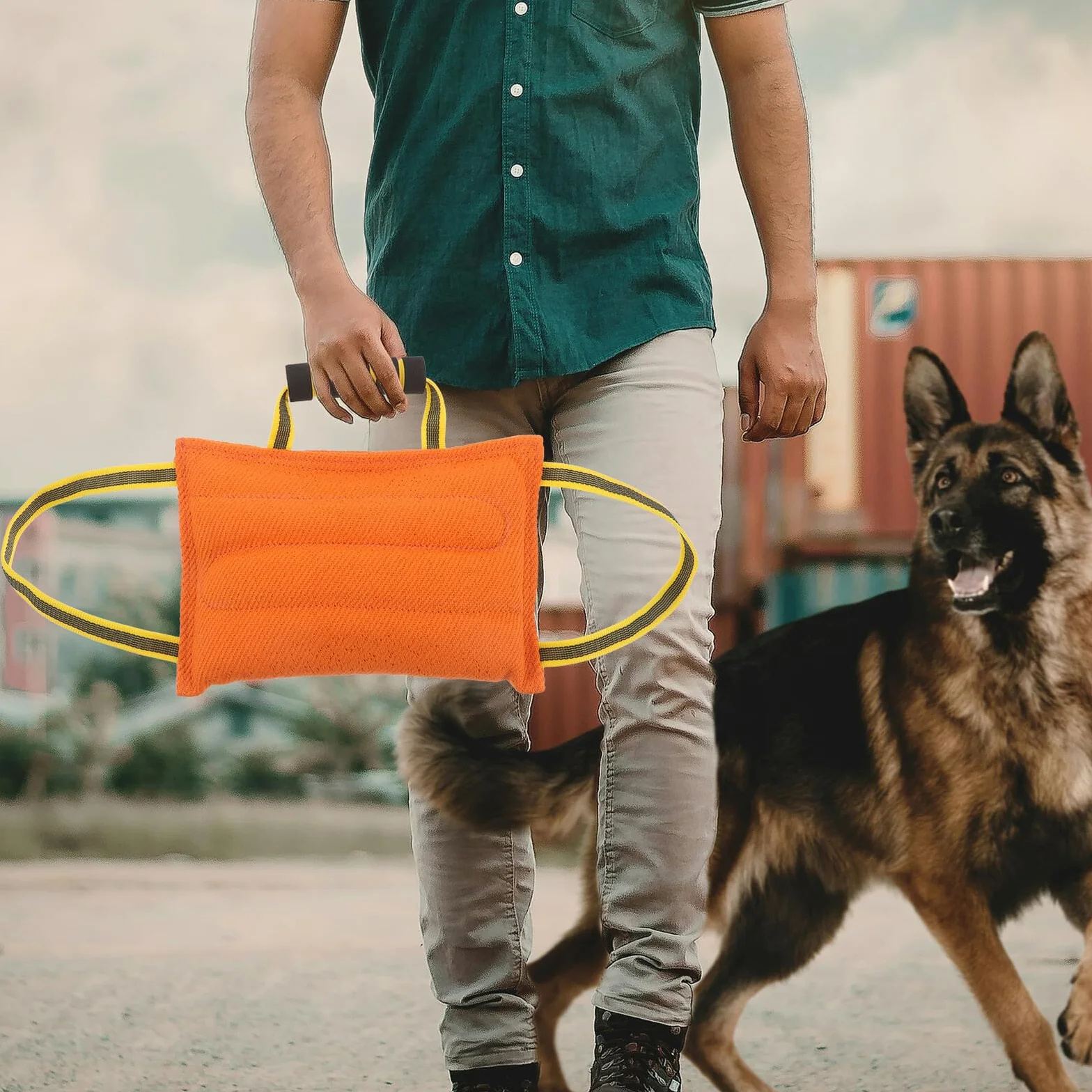 Manchon Résistant aux Morsures pour Dressage de Chiens Mordants Coussin à Mâcher Professionnel en Tissu Doux Orange