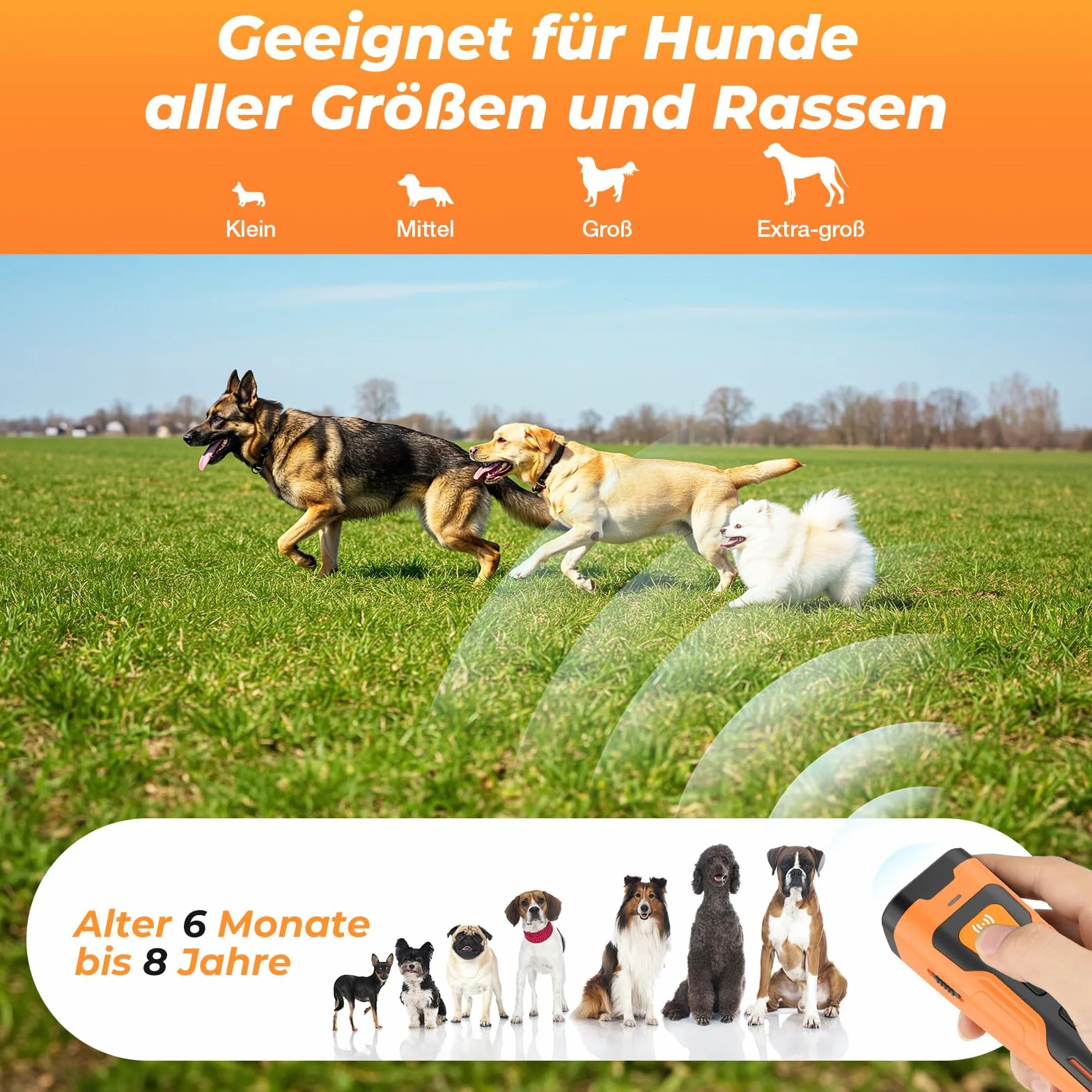 Appareil Anti-aboiement Ultrason Rechargeable pour Chiens, 4 Fréquences Réglables, Lampe LED
