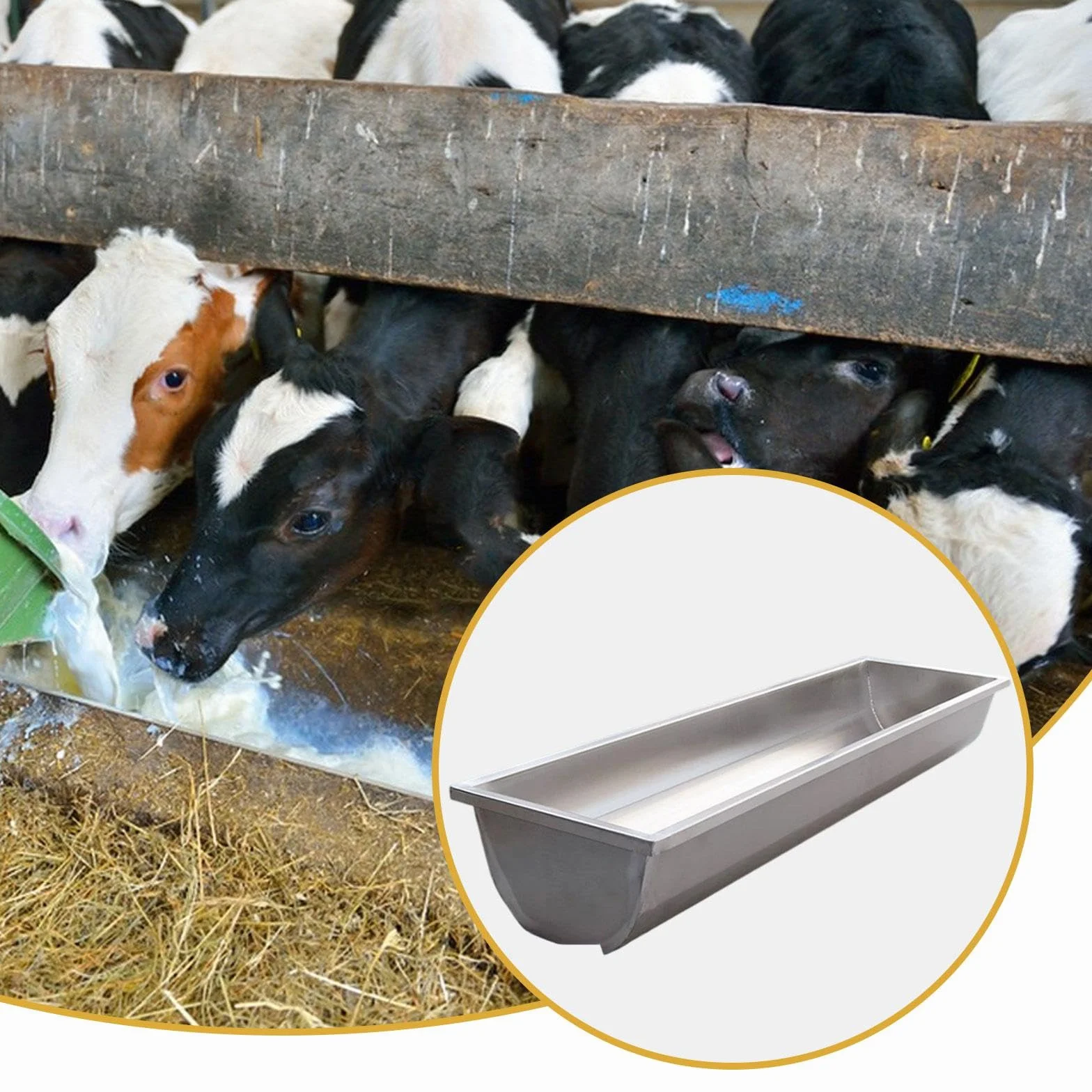 Mangeoire pour chèvres en Acier Inoxydable, Abreuvoir pour Moutons, Chevaux, Vaches
