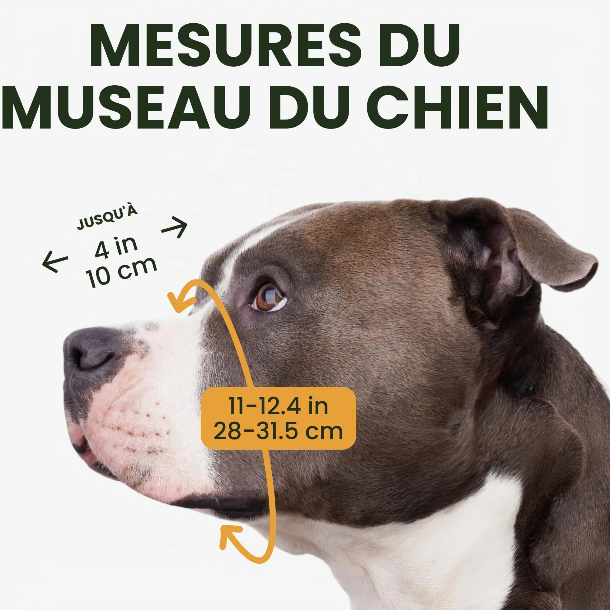 BronzeDog Muselière pour Chien en métal Amstaff Panier en Fil de Fer Sangles réglables en Cuir pour Grands Chiens