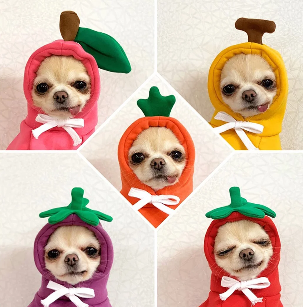XIAOYU Hoodie vêtements pour Animaux de Compagnie Chiot Chien Chat Banane