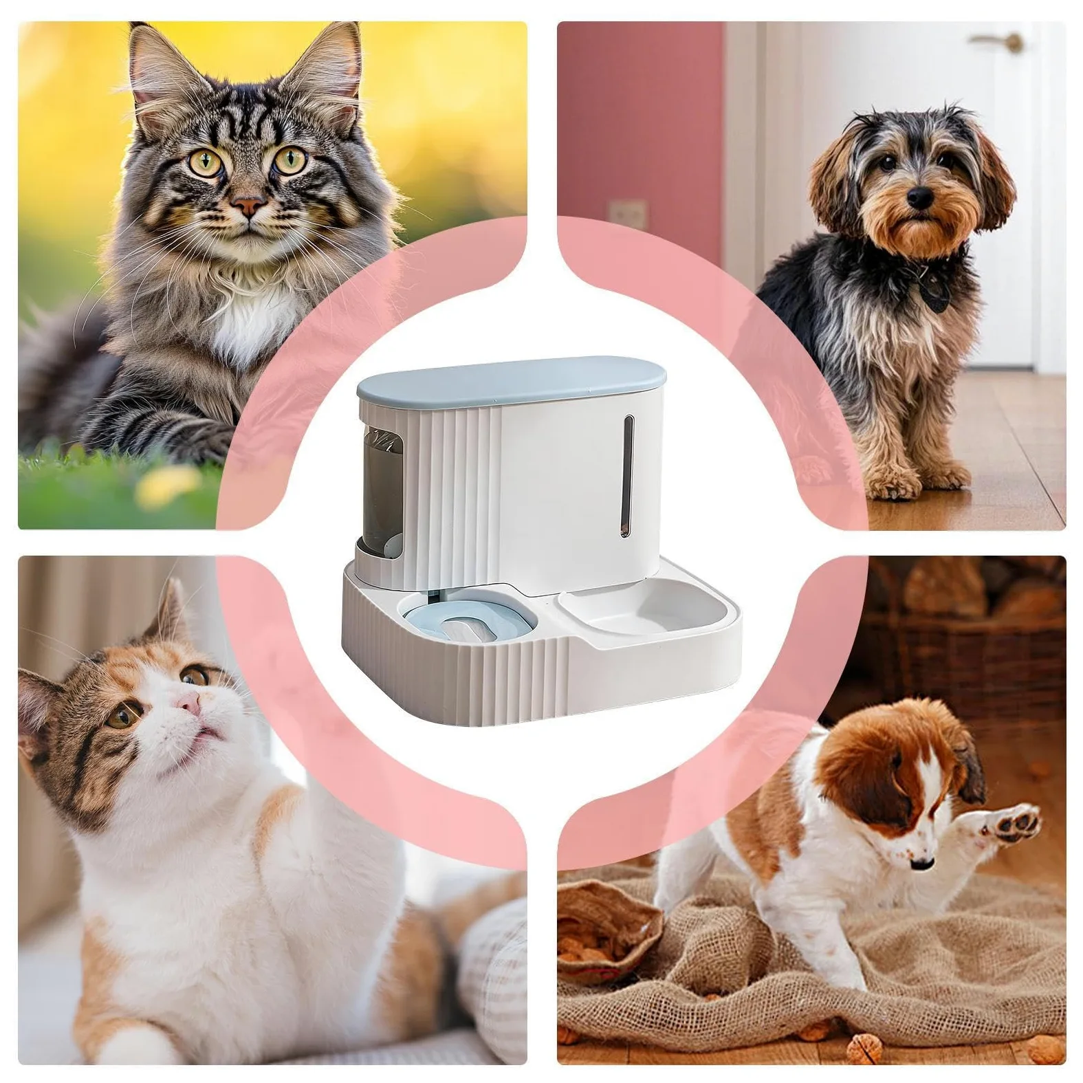 Distributeur de Nourriture et d'eau Automatique pour Chat,Fontaine À Eau Animaux 2 en 1 - Doseur Détachable De Croquettes pour Chat De 3L - pour Chaton