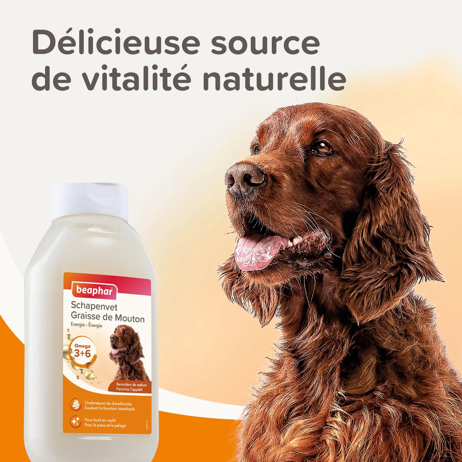 BEAPHAR Graisse de Mouton pour Chien Aliment Complémentaire Omégas 3 et 6 430 ML