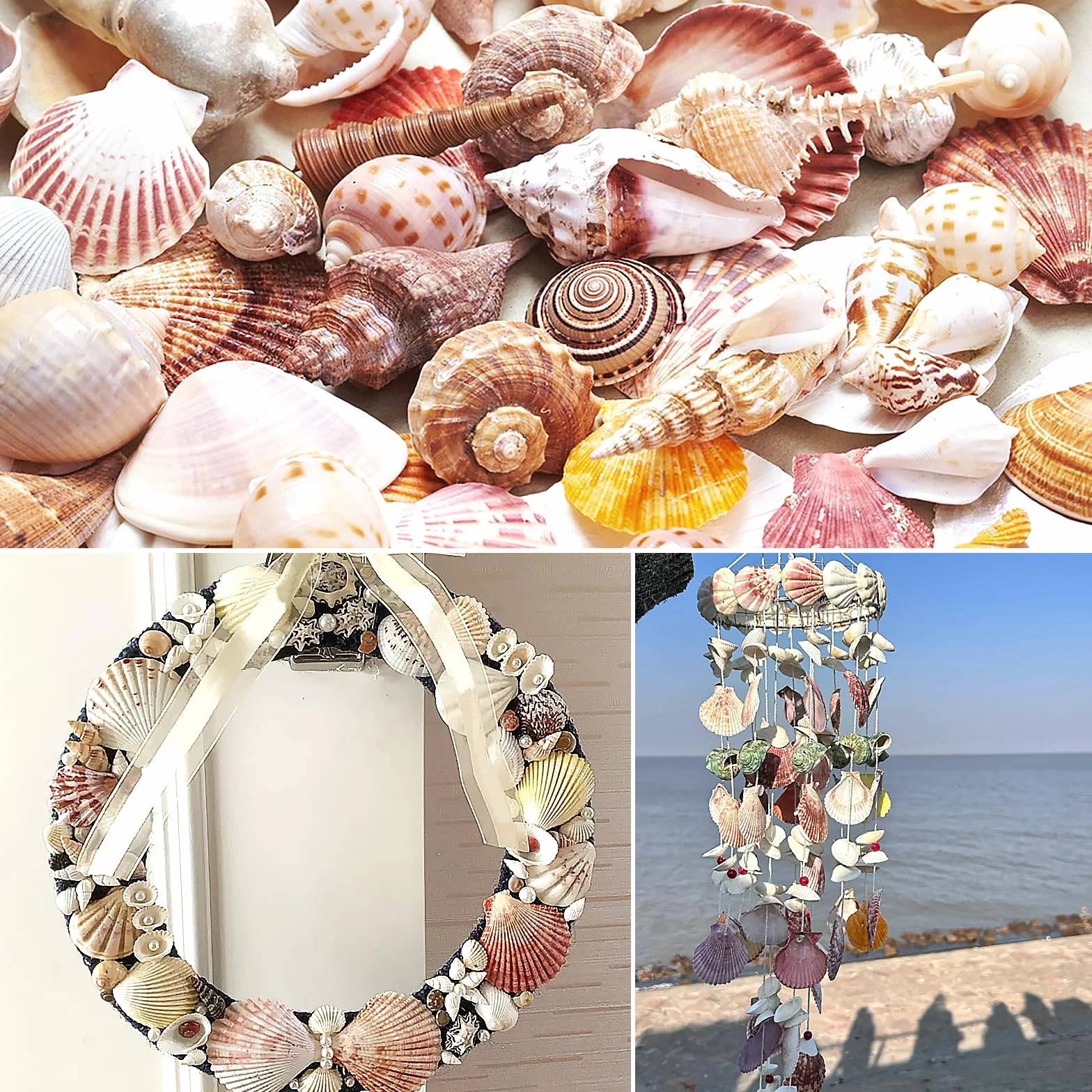 Coquillages naturels 48 Pièces 3-5cm Blanc Rose Décoration Mariage Plage Fête