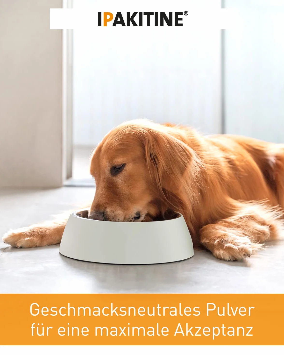 Vetoquinol Ipakitine Décontractants Pot pour Chien 300 g