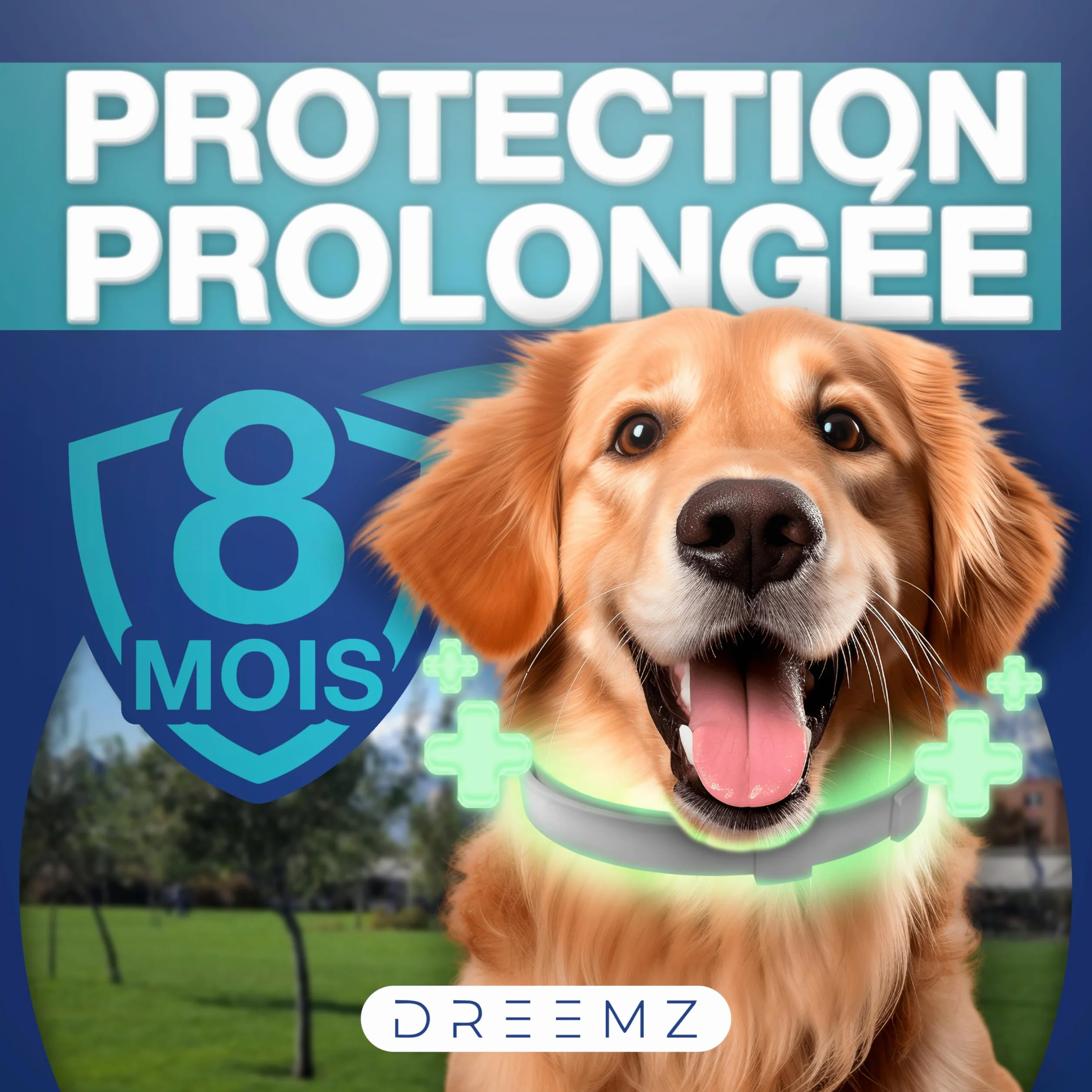 Collier Anti Puces pour Chien DREEMZ® 63cm Réglable 8 Mois Protection Imperméable Naturel