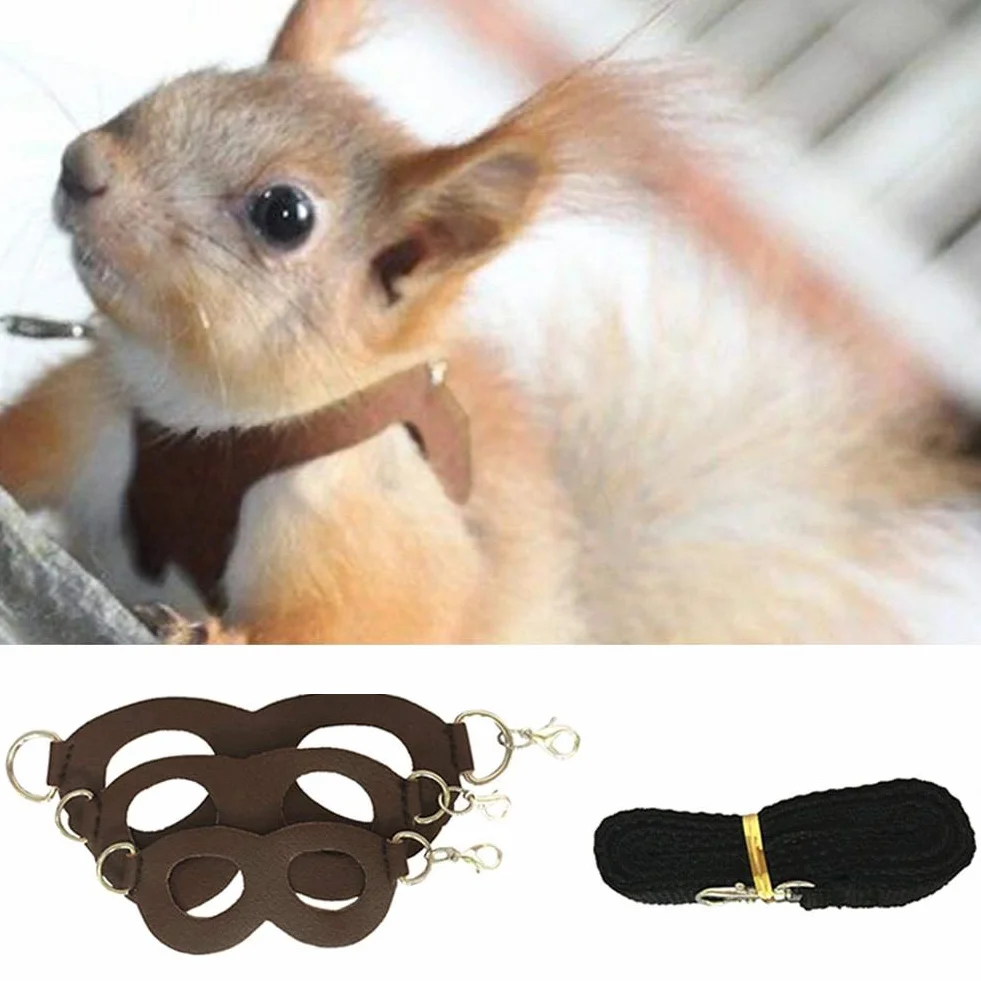 Harnais Ecureuil Laisse Gilet Jouet pour Chinchilla Gerbille Furet Animaux Souris Rat Petits