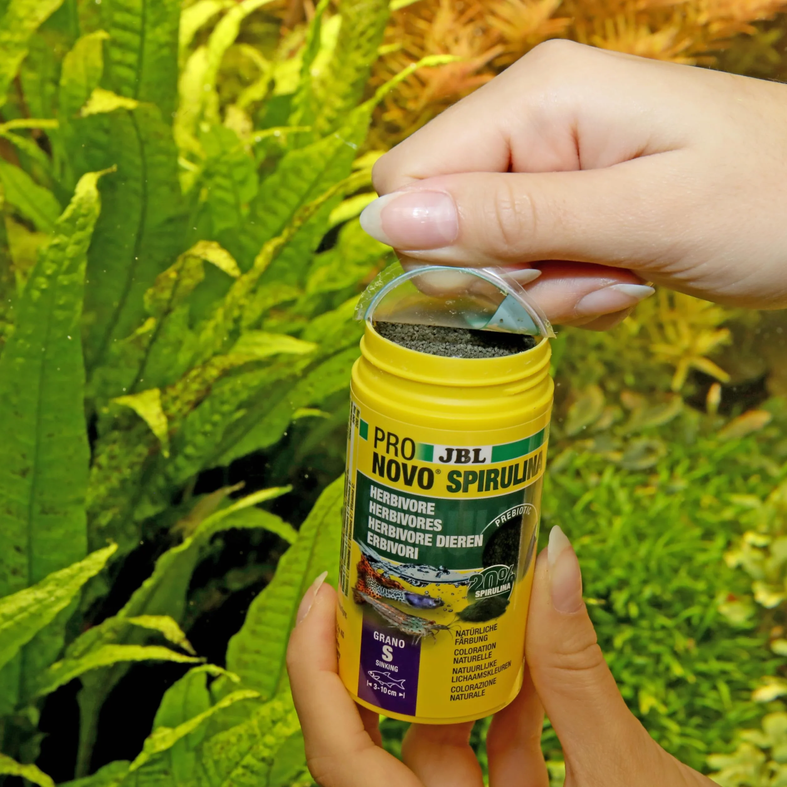 JBL PRONOVO SPIRULINA GRANO S 100ml CLICK