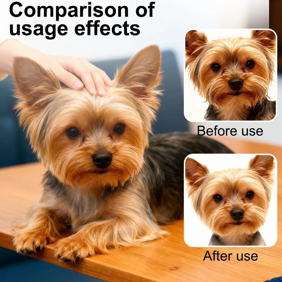 Ciseaux Toilettage Chien Professionnel, Ciseaux Toilettage Chien de Compagnie pour Animaux avec Pointe Ronde de Sécurité Ciseau Droit en Acier pour Chats Chiens et Autres Animaux